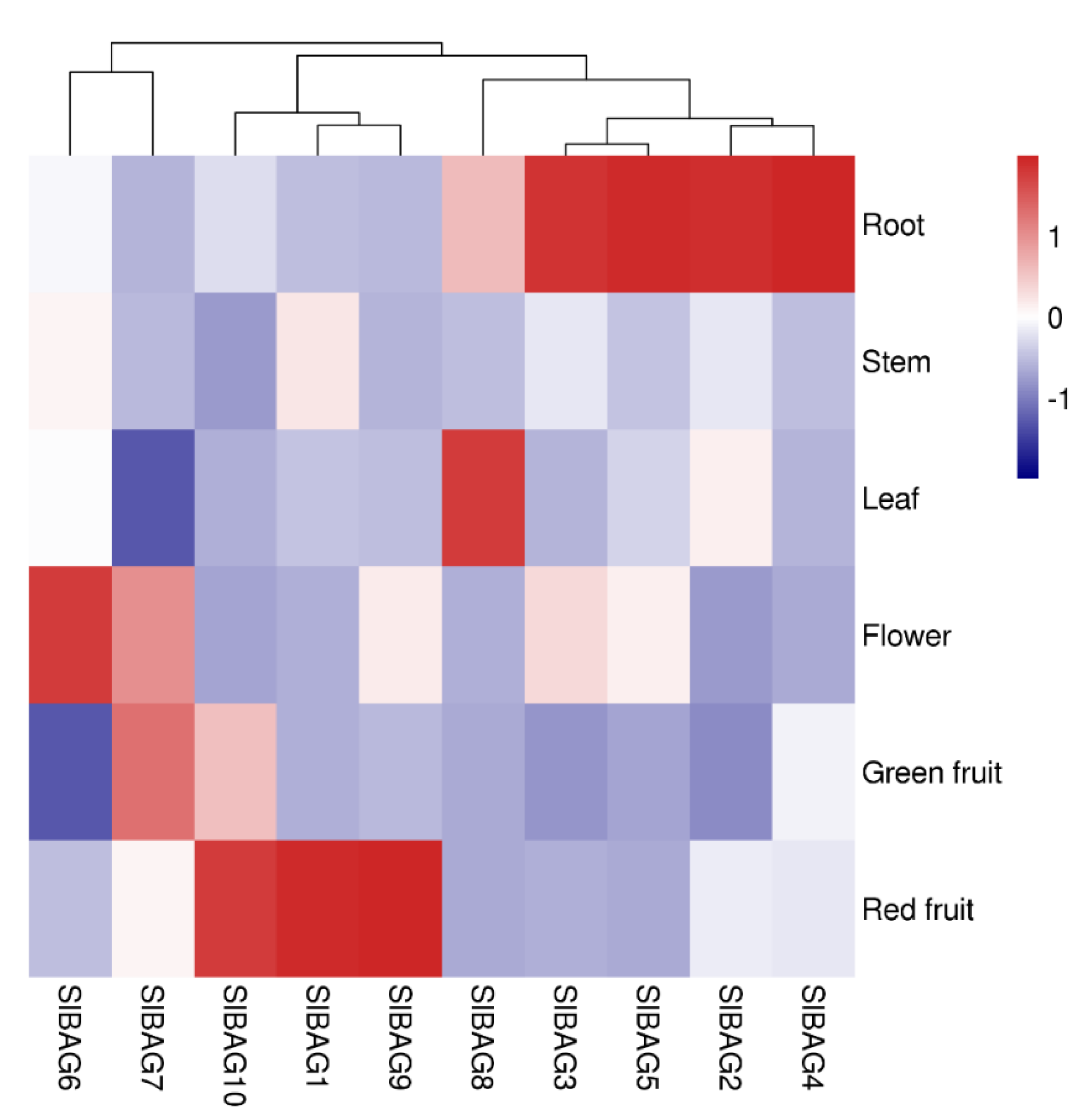 Antioxidants 11 00598 g004