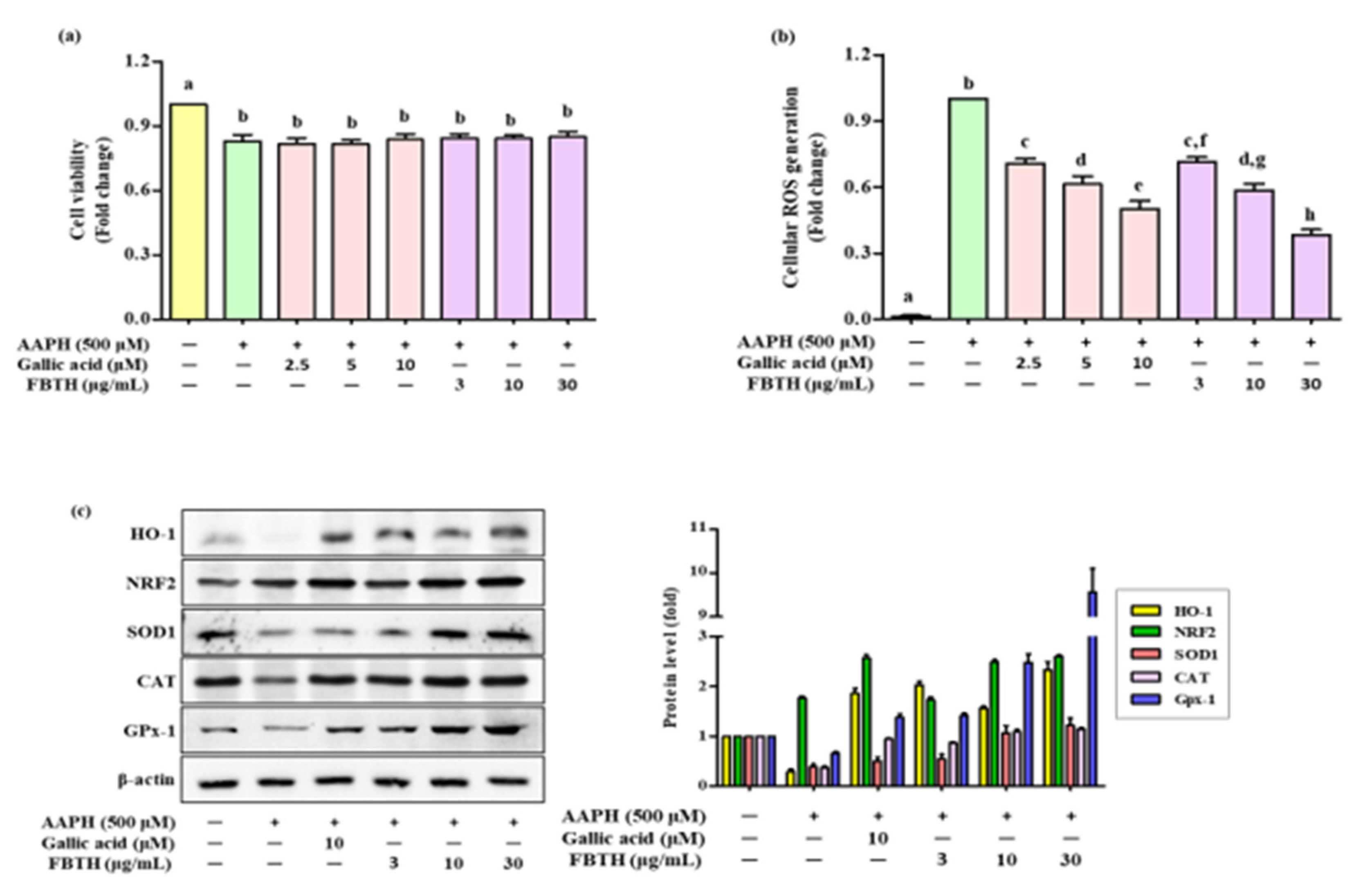 Antioxidants 11 00599 g002