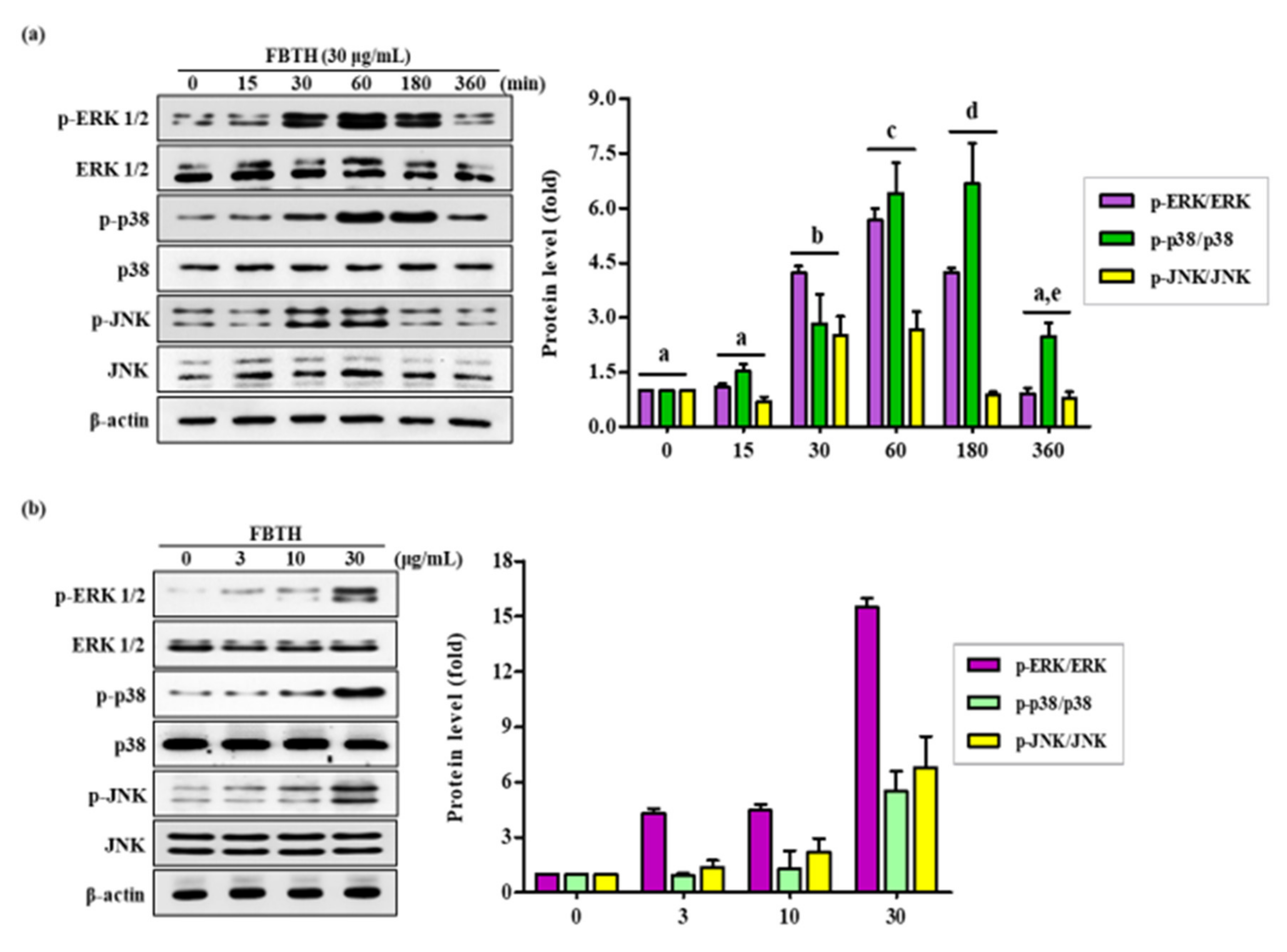 Antioxidants 11 00599 g005