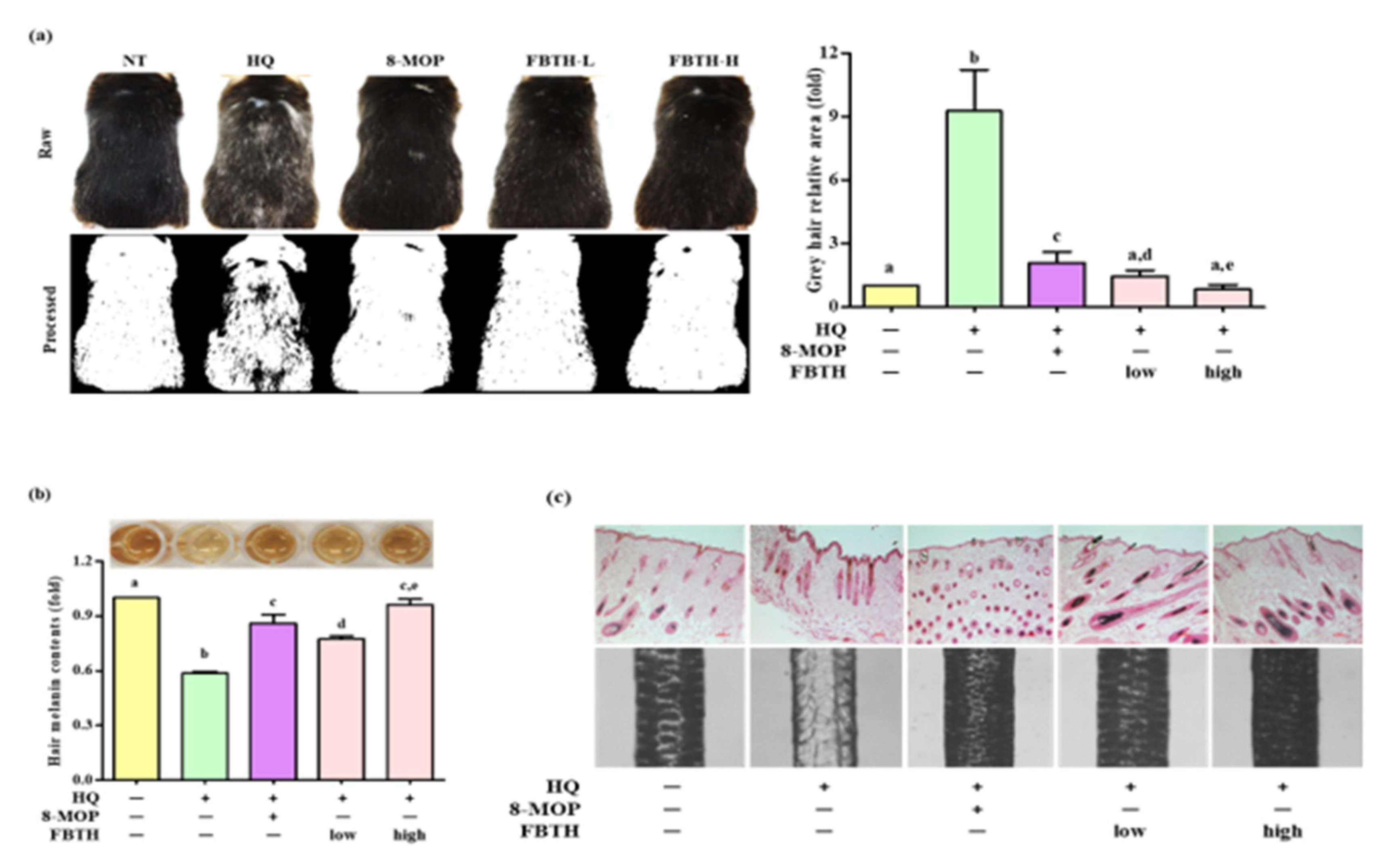 Antioxidants 11 00599 g006
