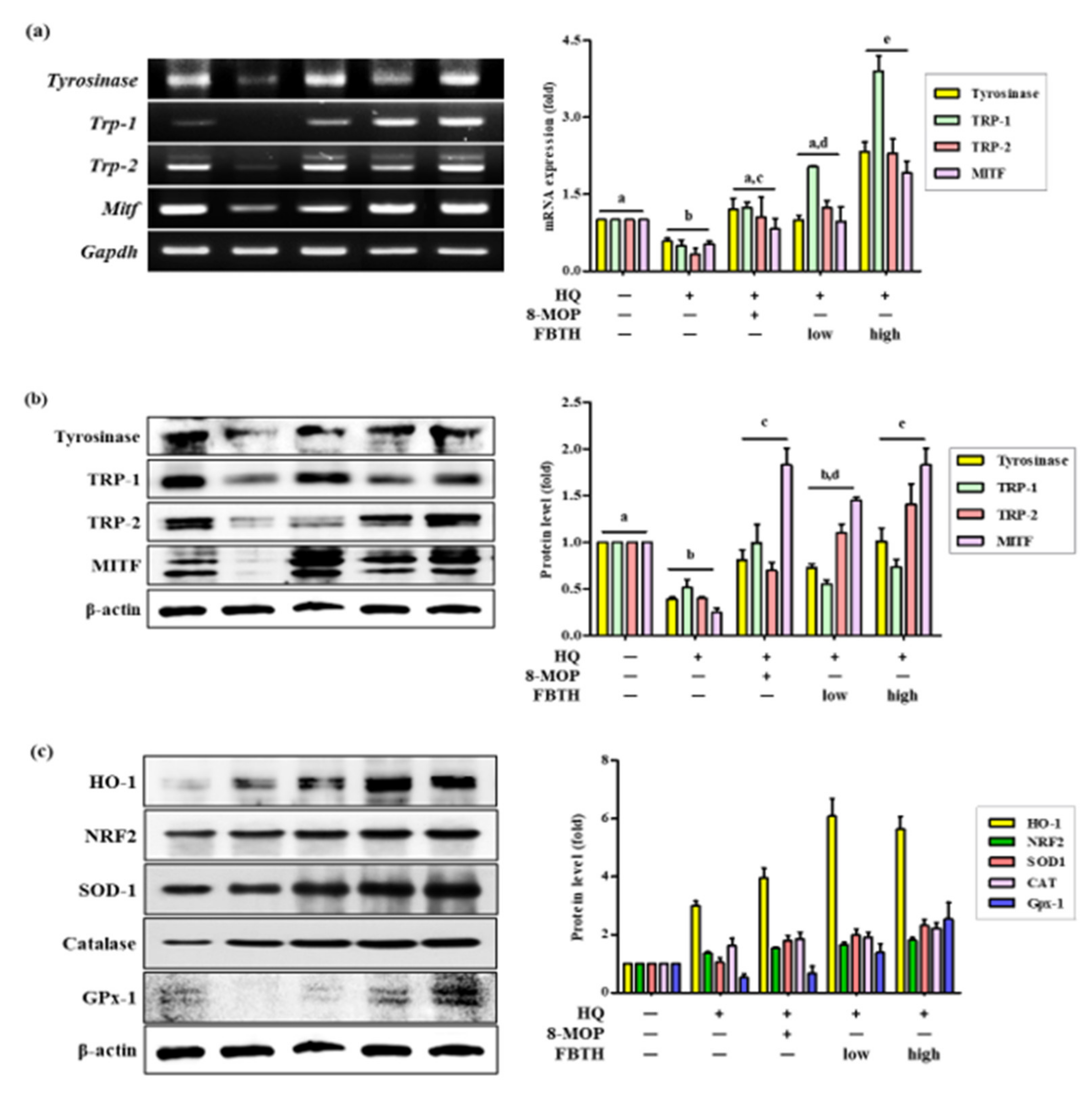 Antioxidants 11 00599 g007