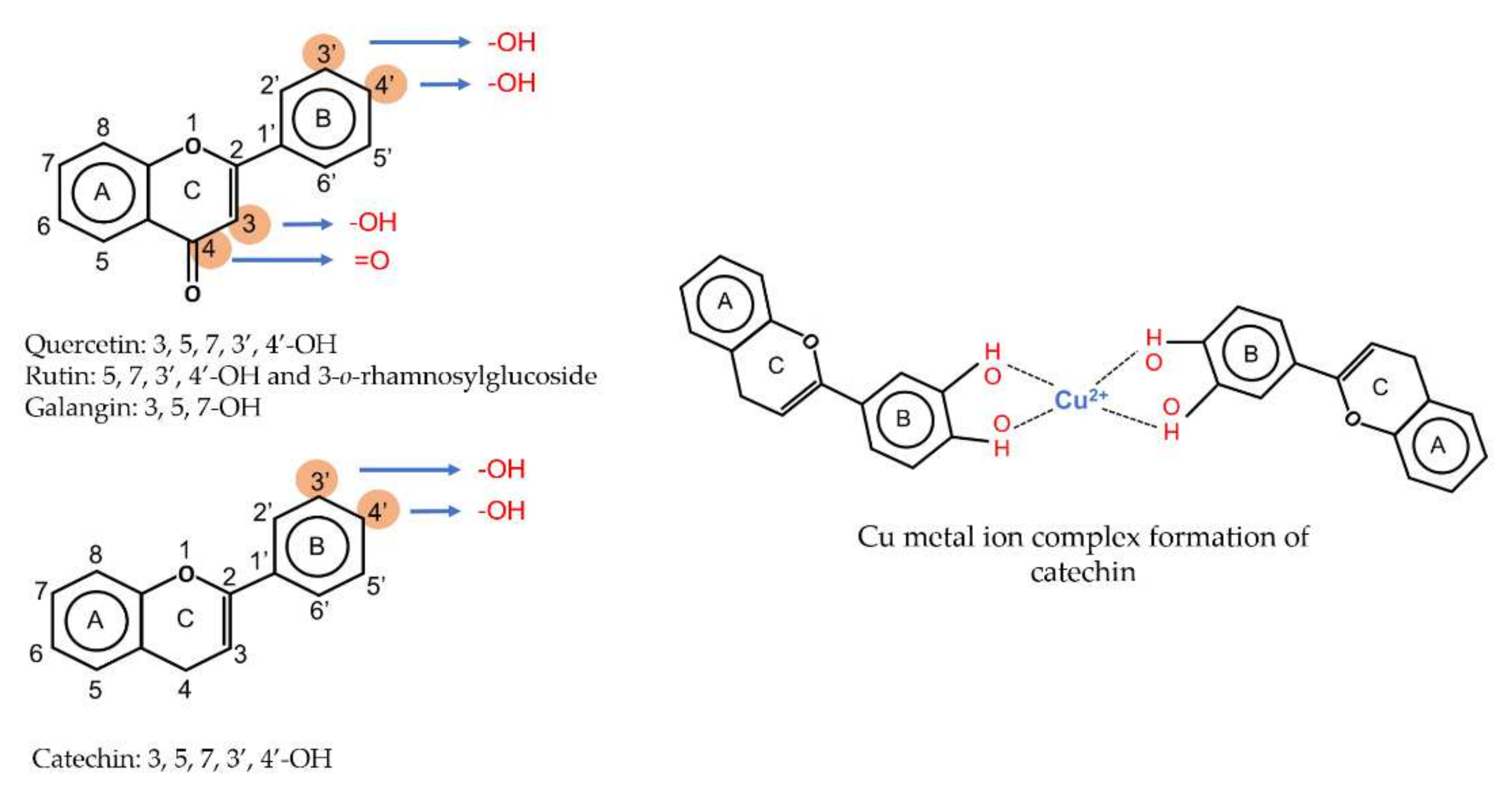 Antioxidants 11 00602 g001 Antioxidants 11 00602 g001