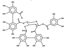 Antioxidants 11 00602 i009 Antioxidants 11 00602 i009