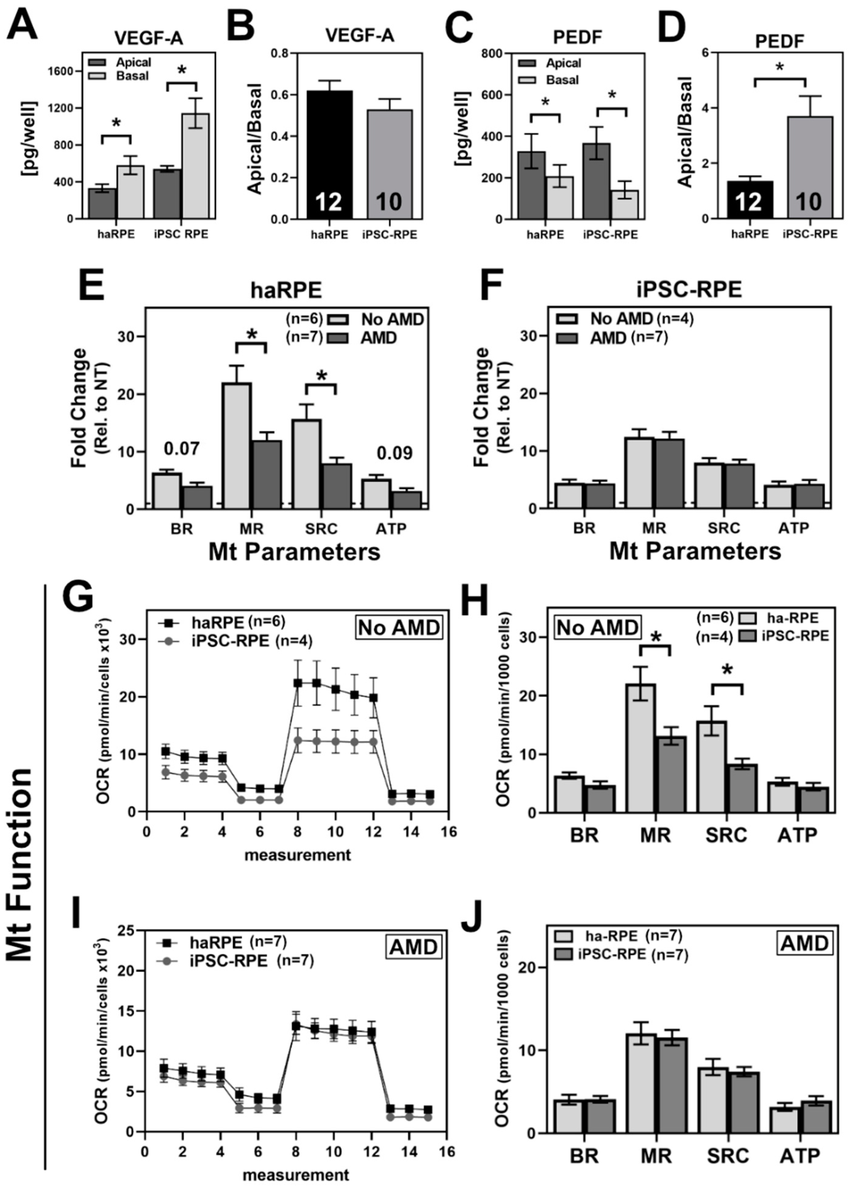 Antioxidants 11 00605 g001