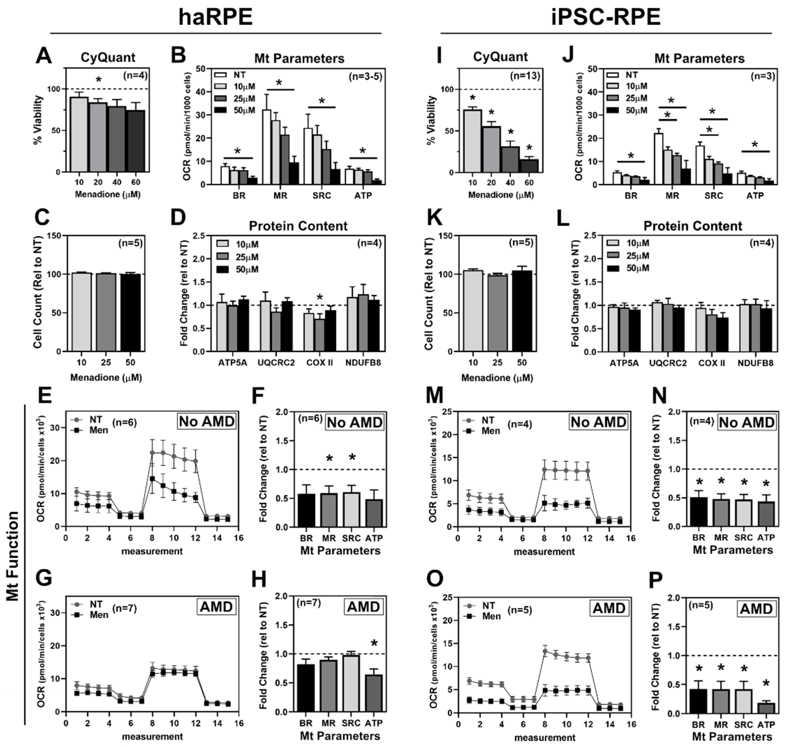 Antioxidants 11 00605 g002