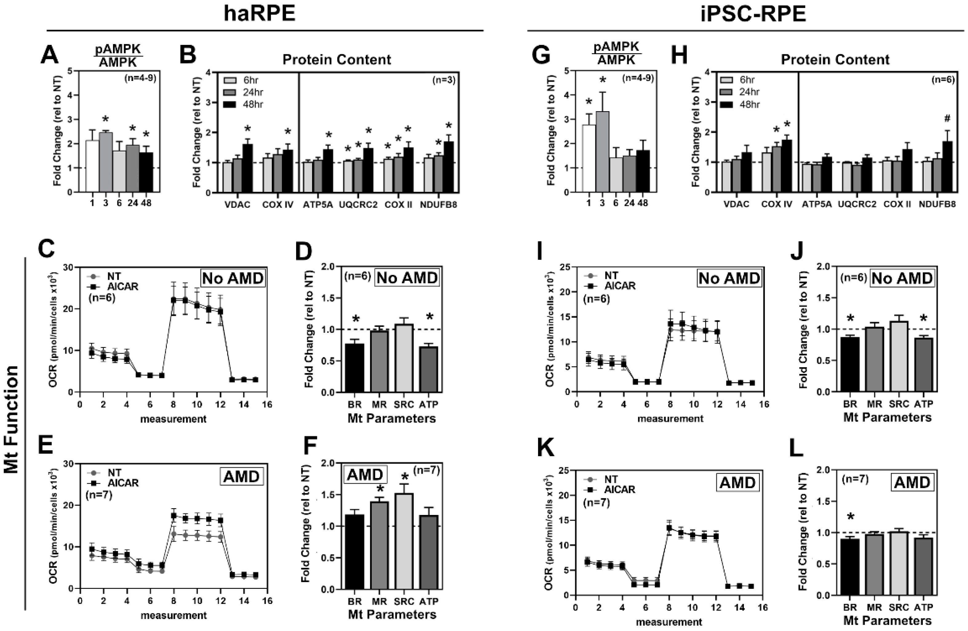 Antioxidants 11 00605 g003