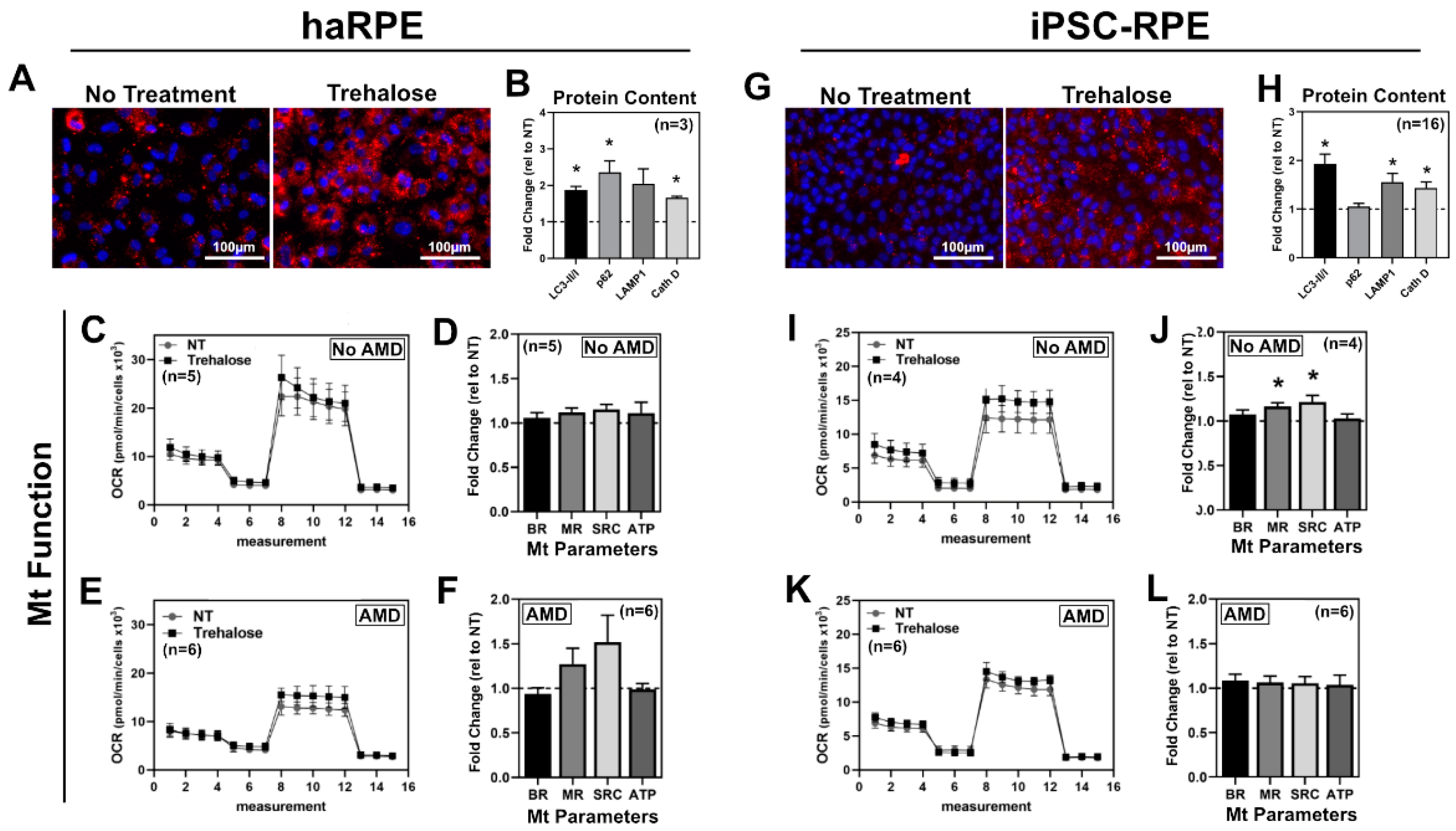Antioxidants 11 00605 g004