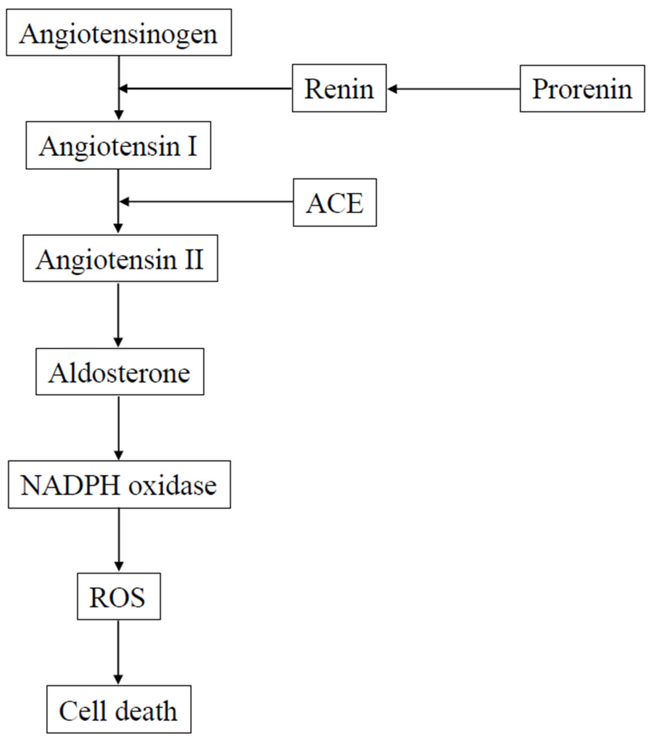 Antioxidants 11 00610 g001