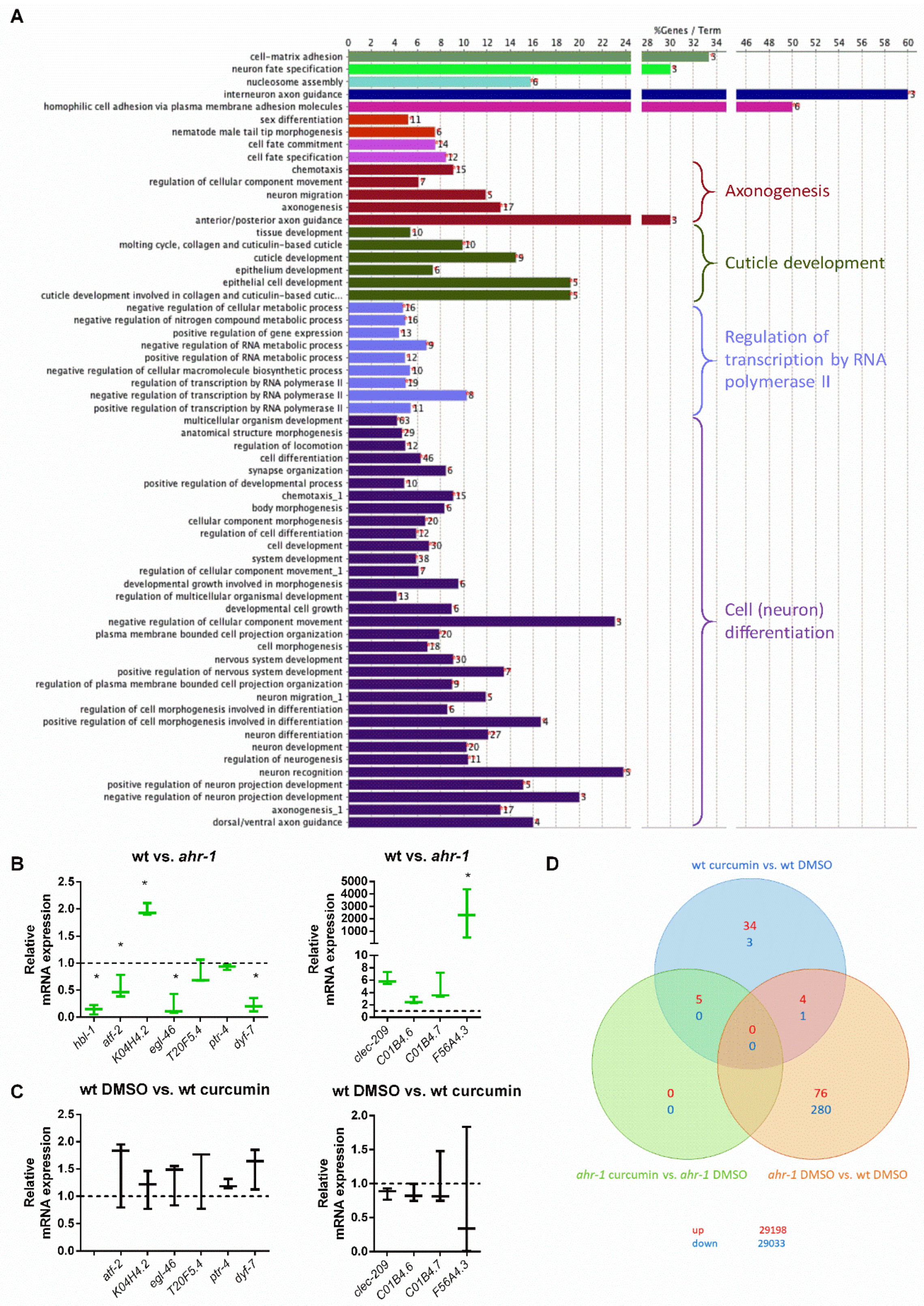 Antioxidants 11 00613 g002
