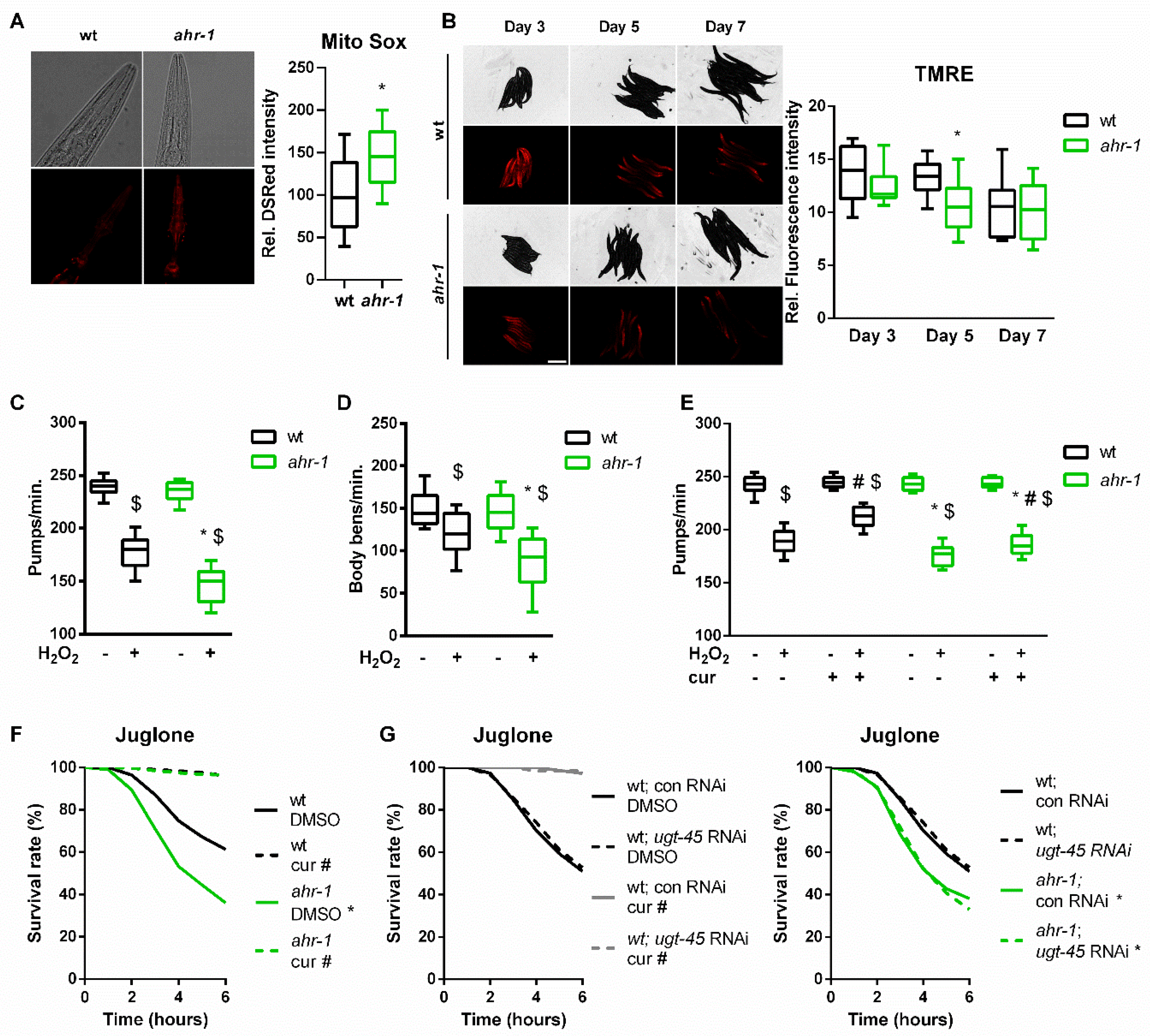 Antioxidants 11 00613 g004