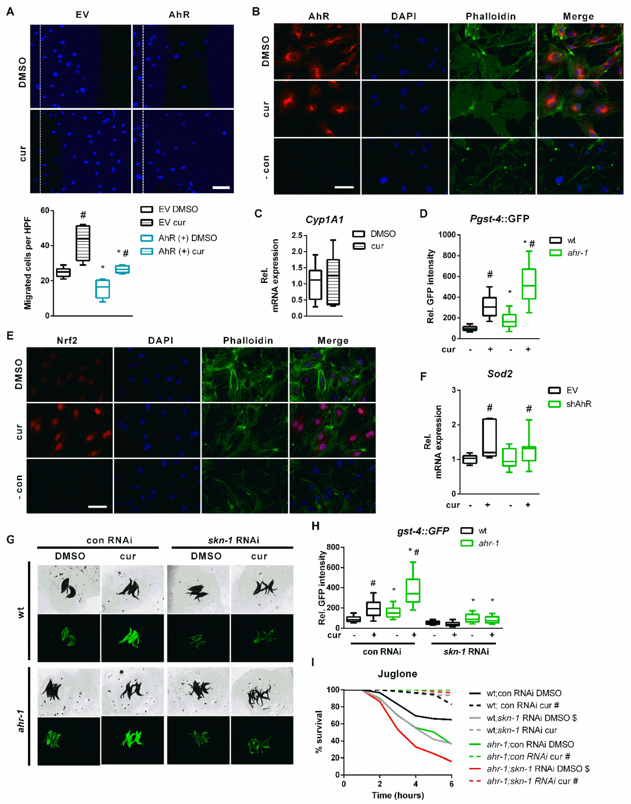 Antioxidants 11 00613 g005