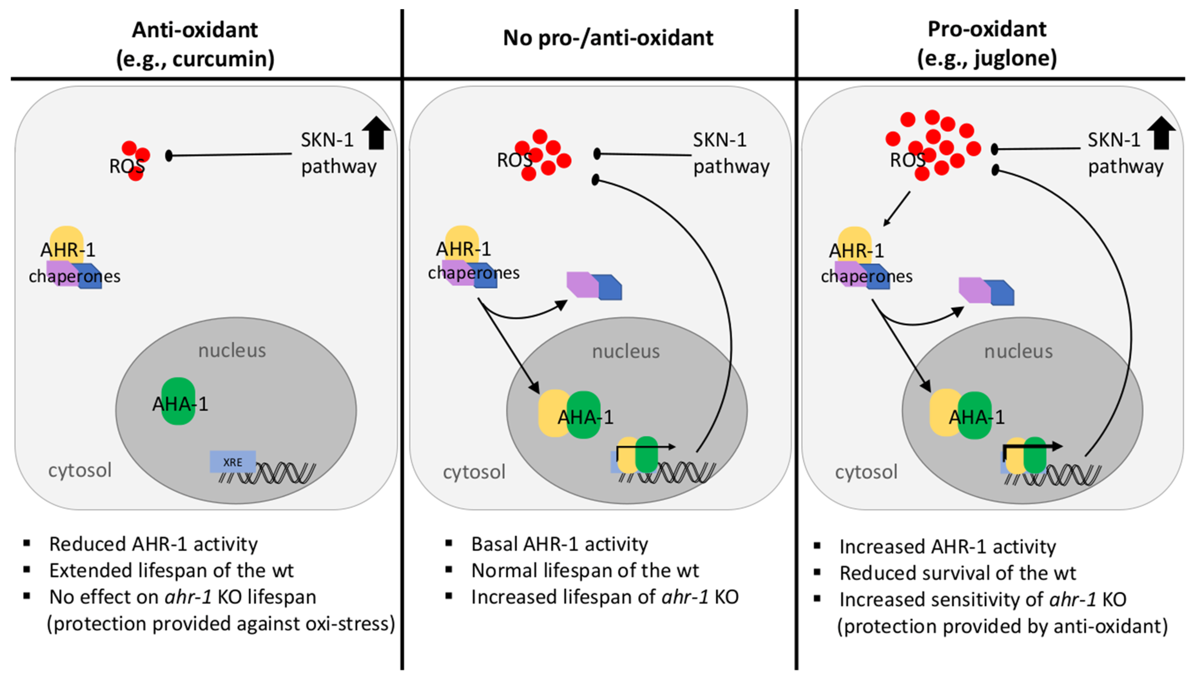 Antioxidants 11 00613 g007