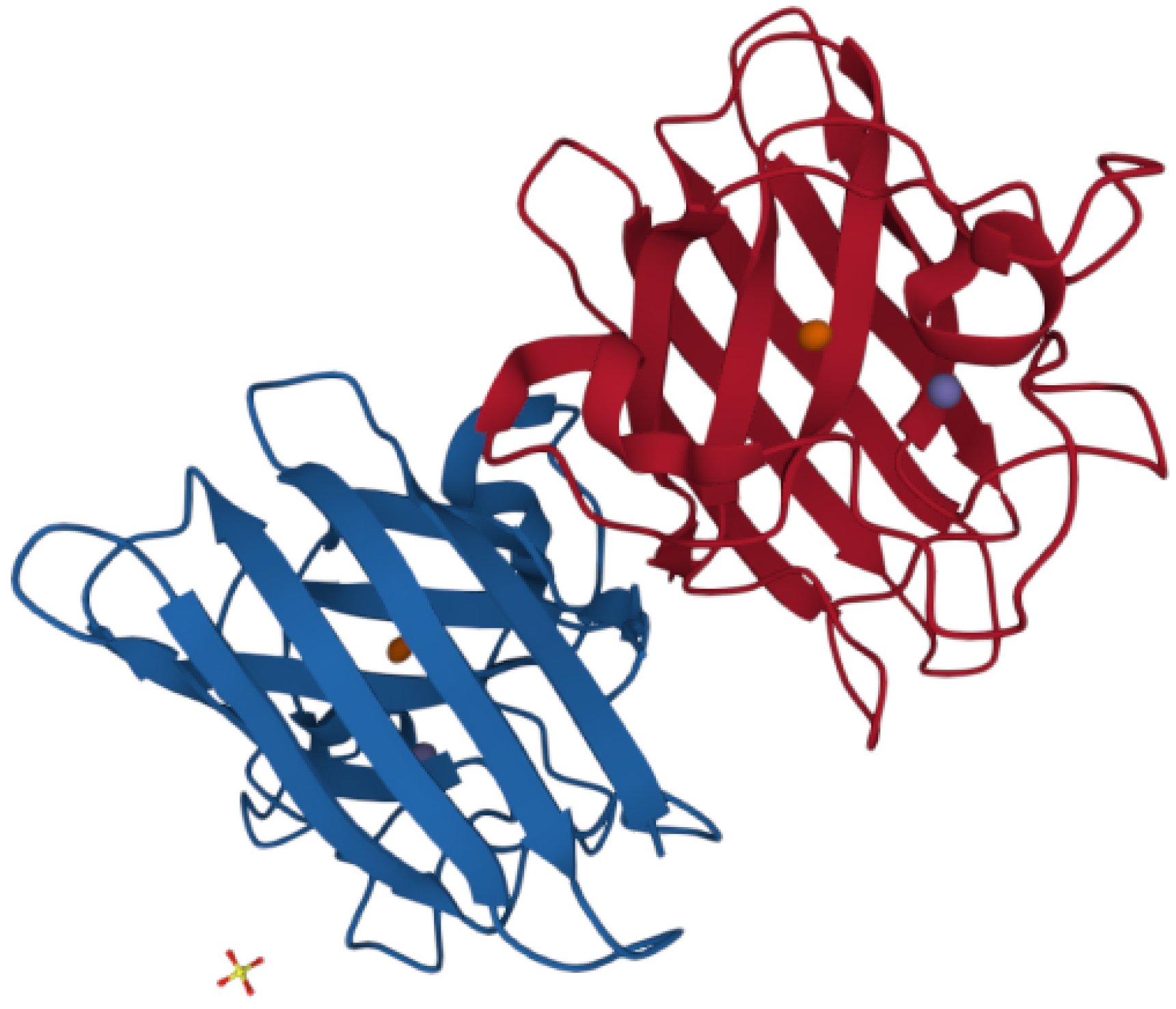 Antioxidants 11 00614 g002 Antioxidants 11 00614 g002