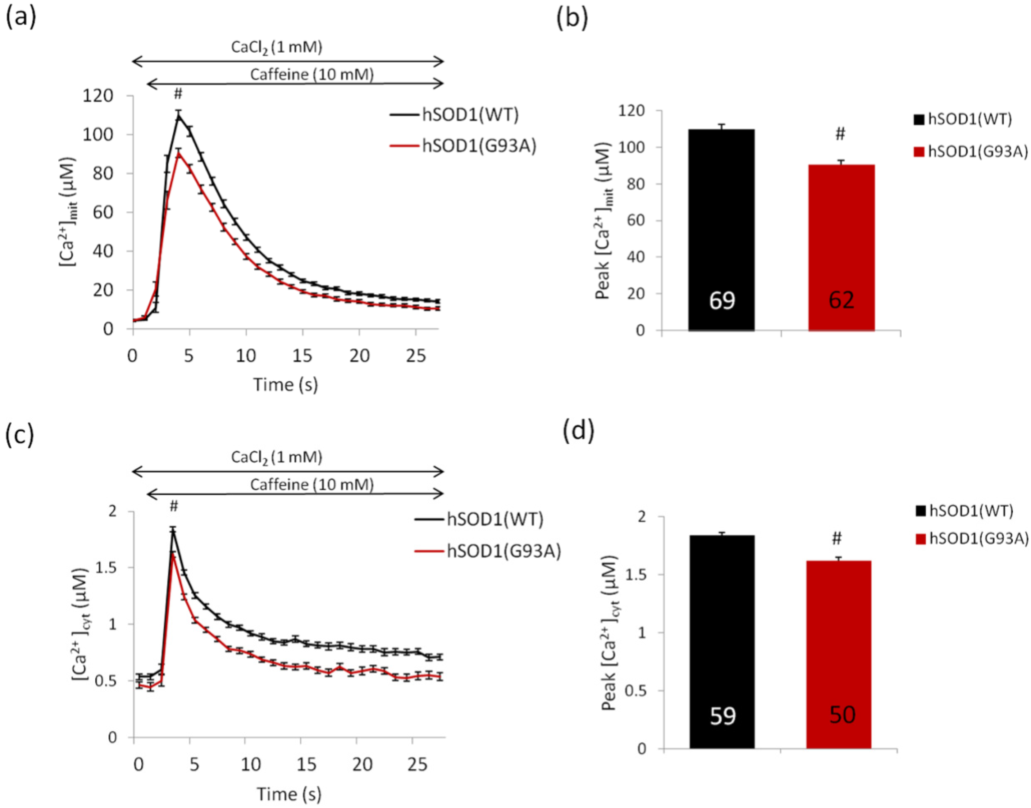 Antioxidants 11 00614 g004 Antioxidants 11 00614 g004