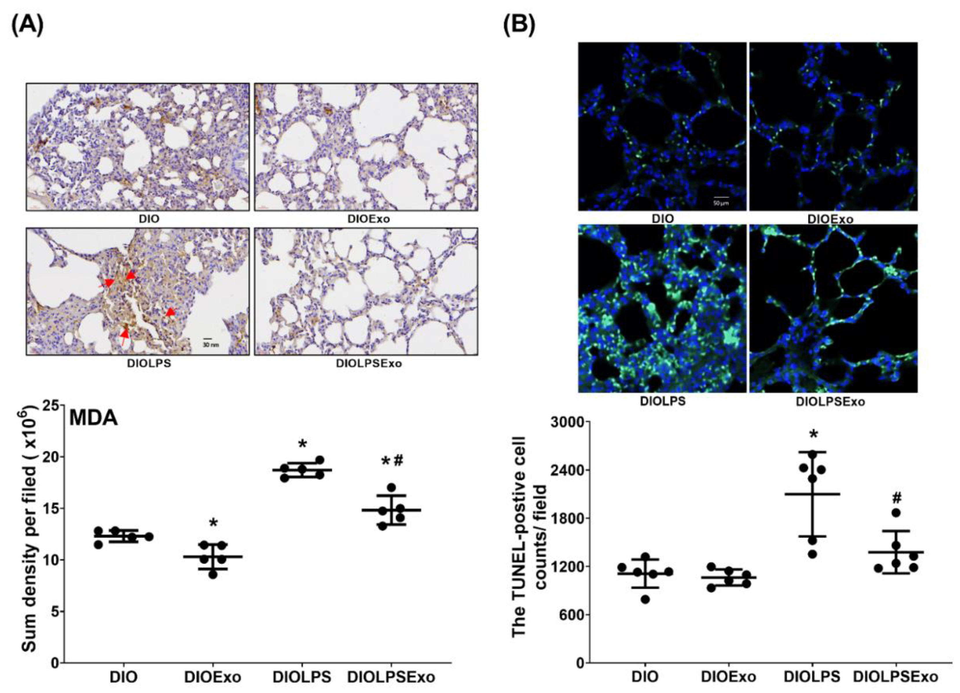Antioxidants 11 00615 g006