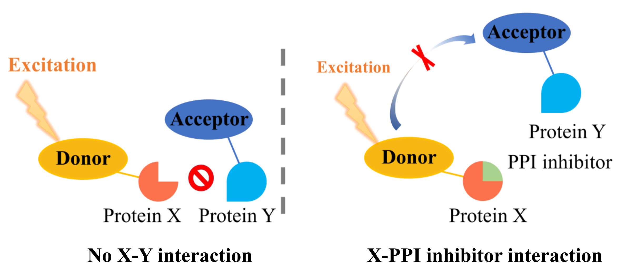 Antioxidants 11 00619 g002