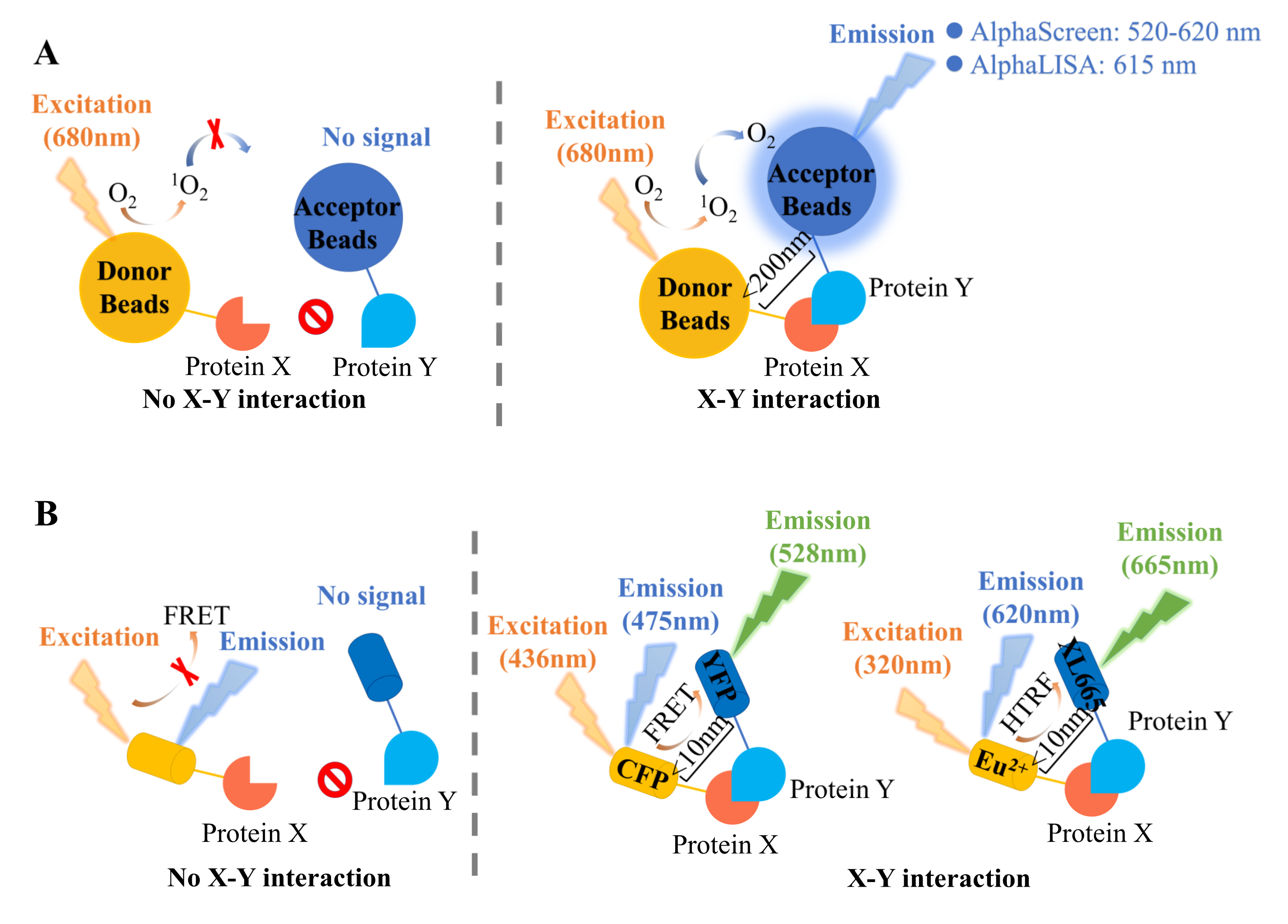 Antioxidants 11 00619 g003