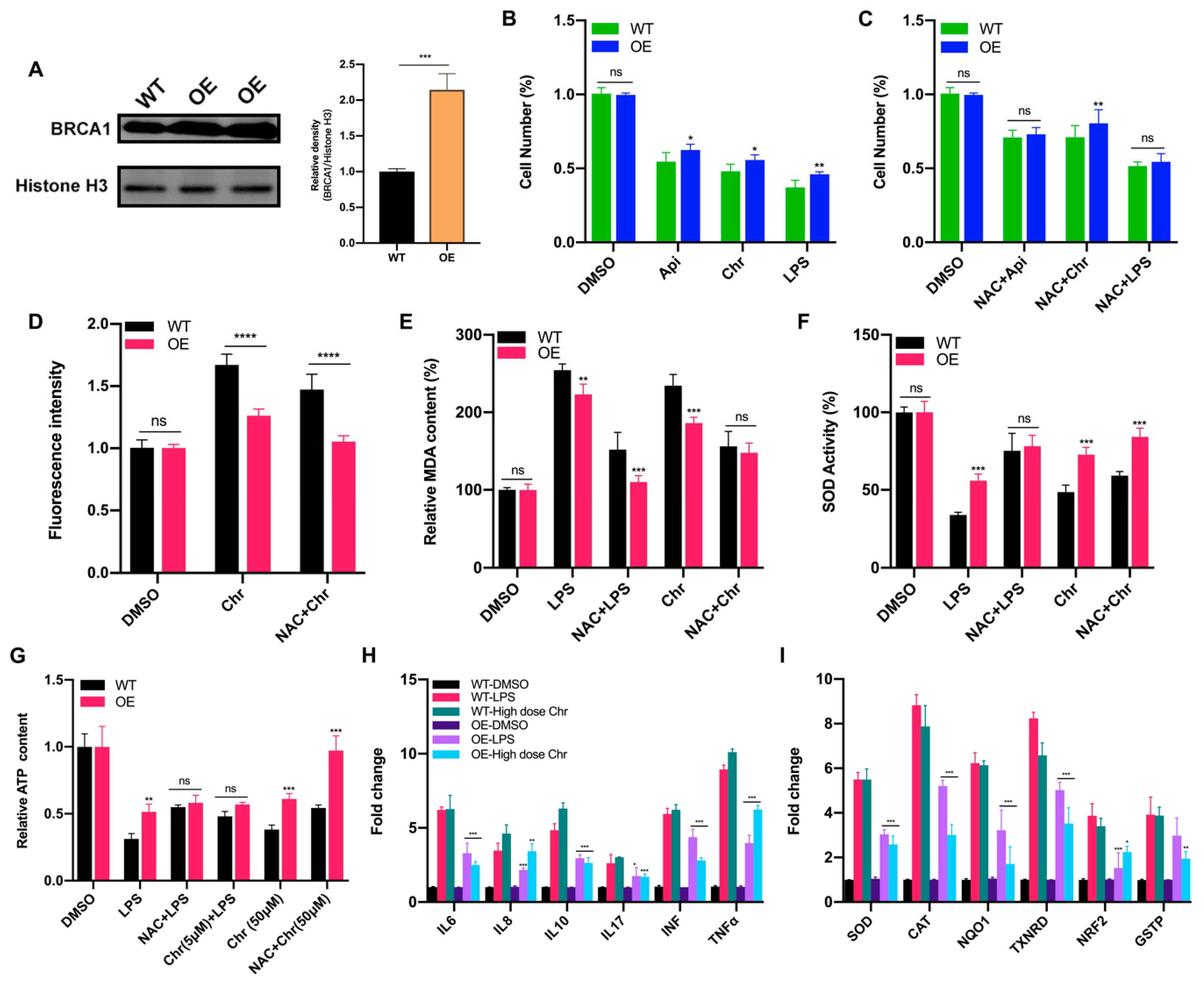 Antioxidants 11 00622 g008