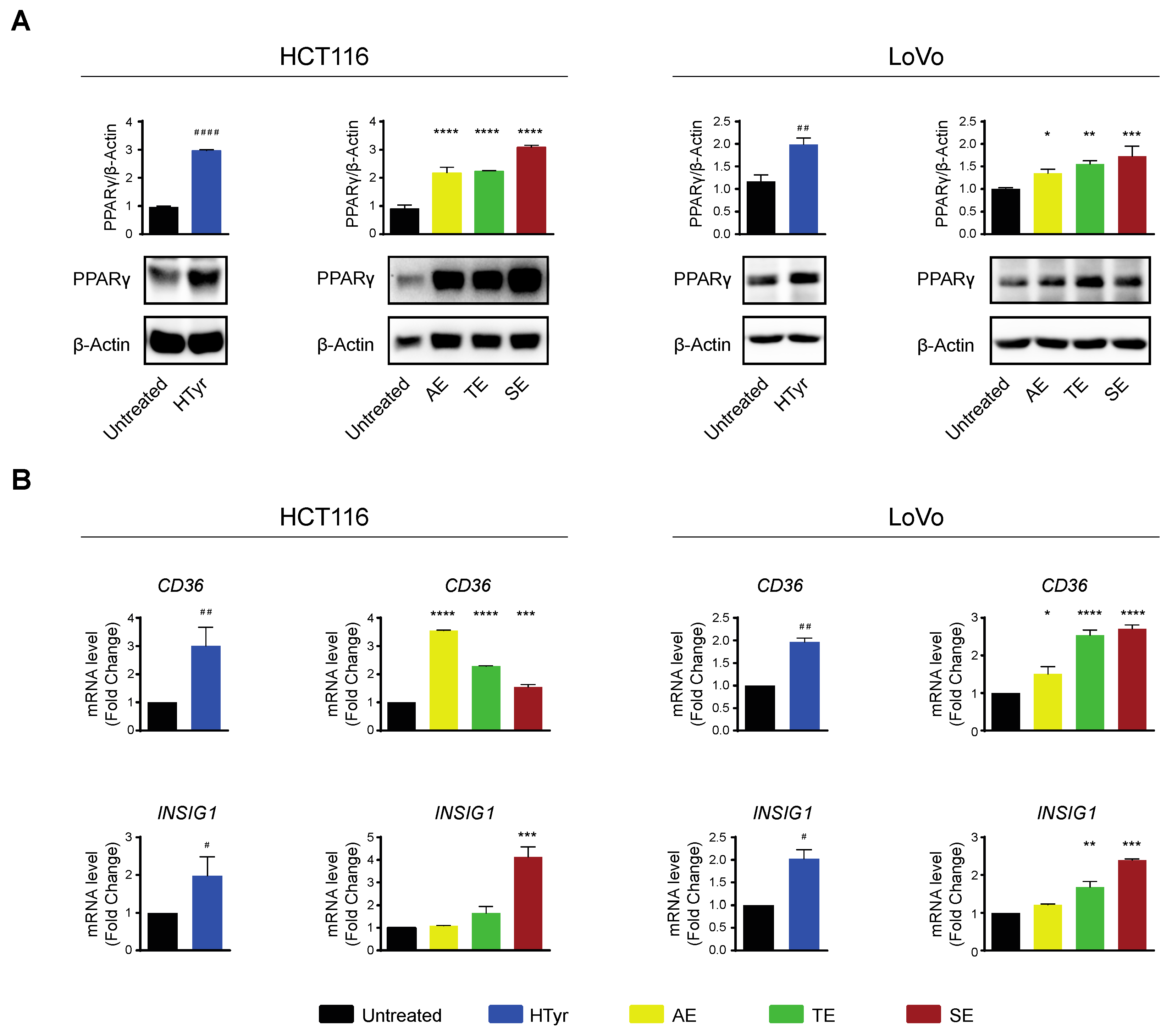Antioxidants 11 00624 g008