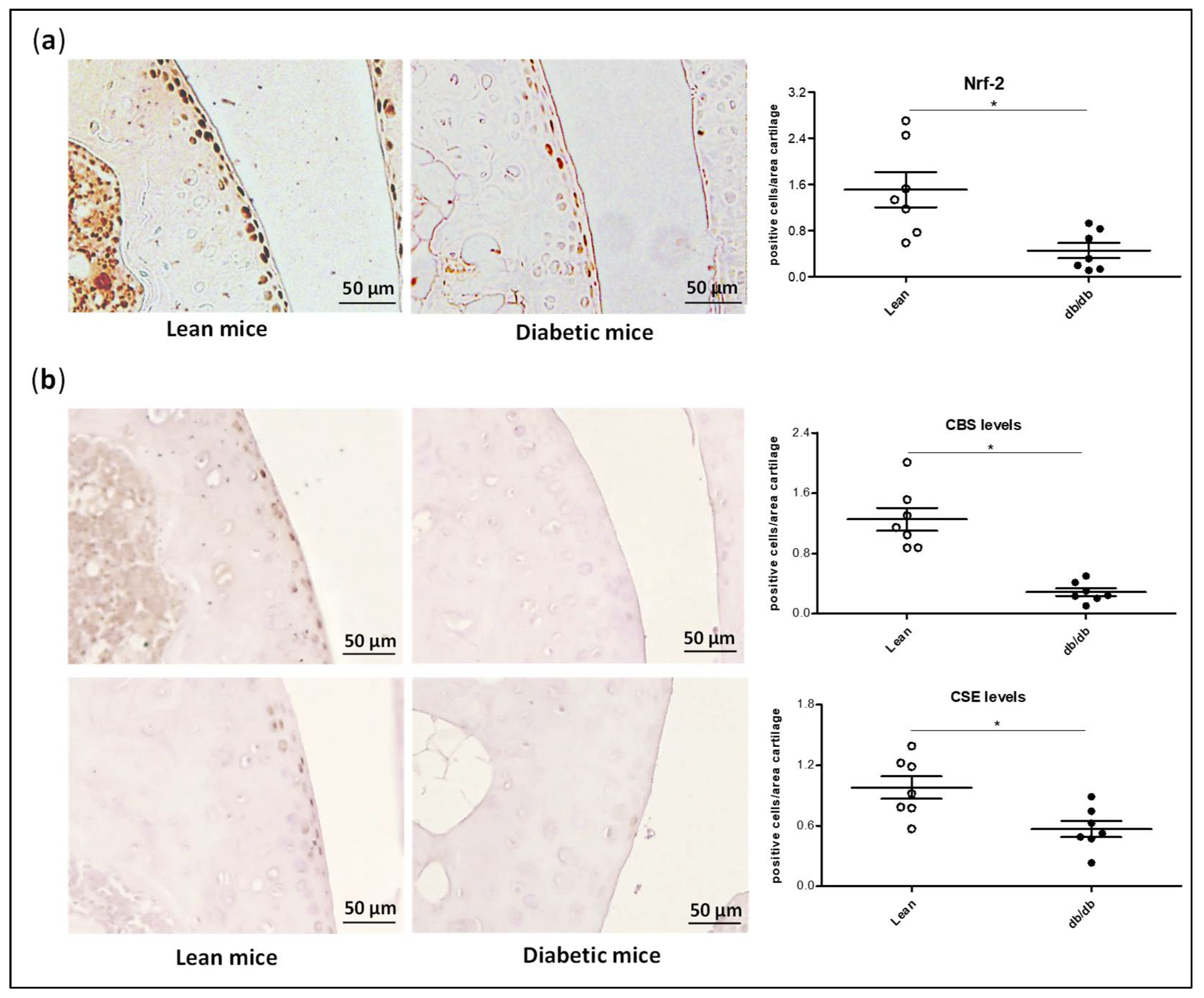 Antioxidants 11 00628 g007