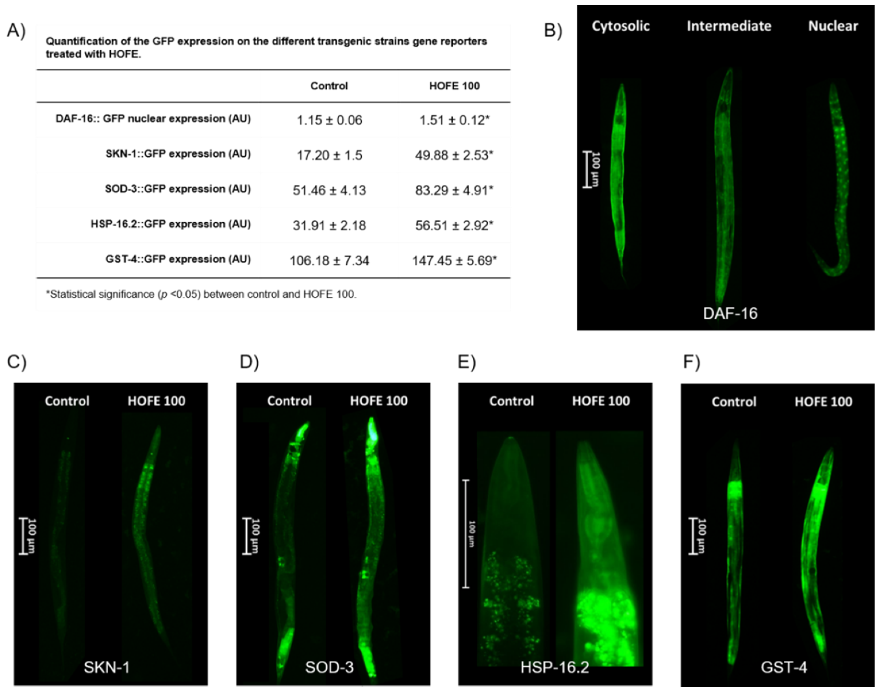 Antioxidants 11 00629 g007