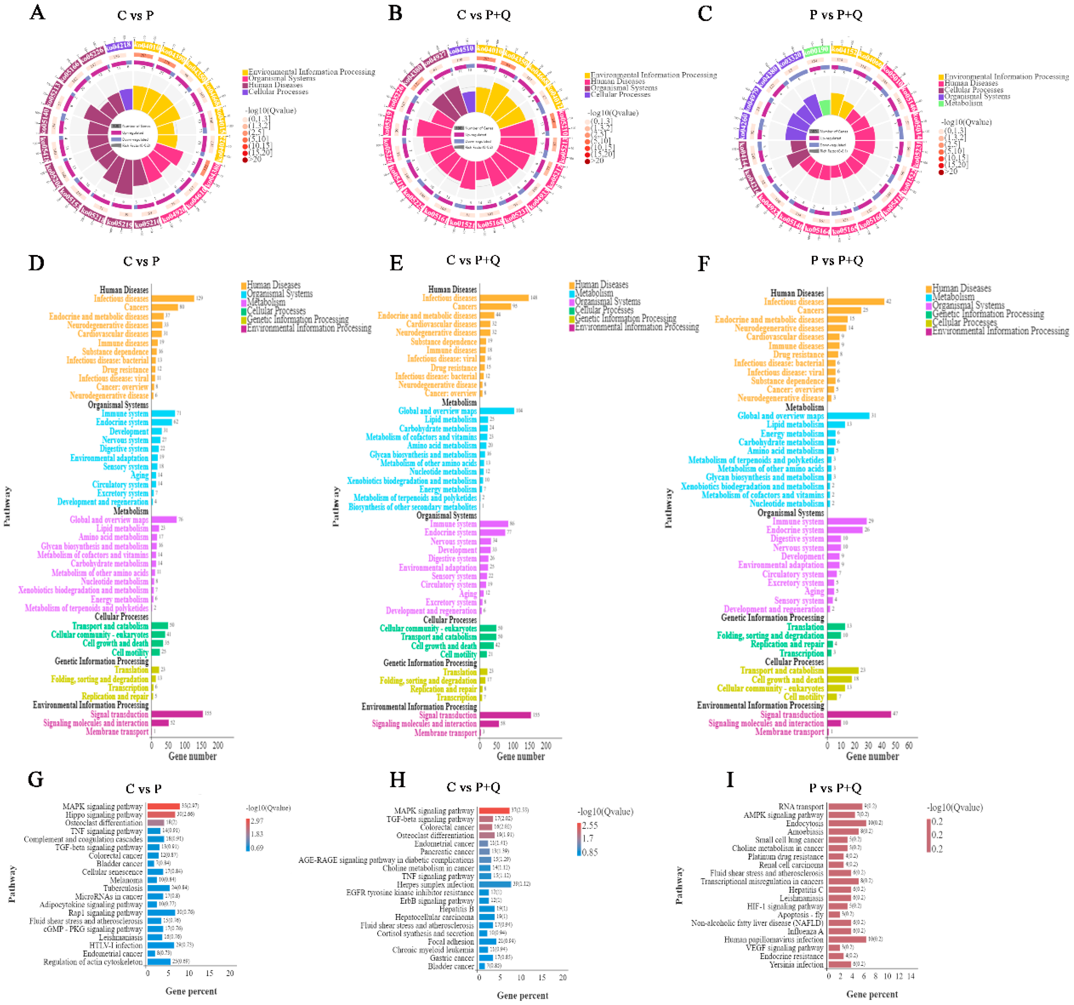 Antioxidants 11 00631 g005