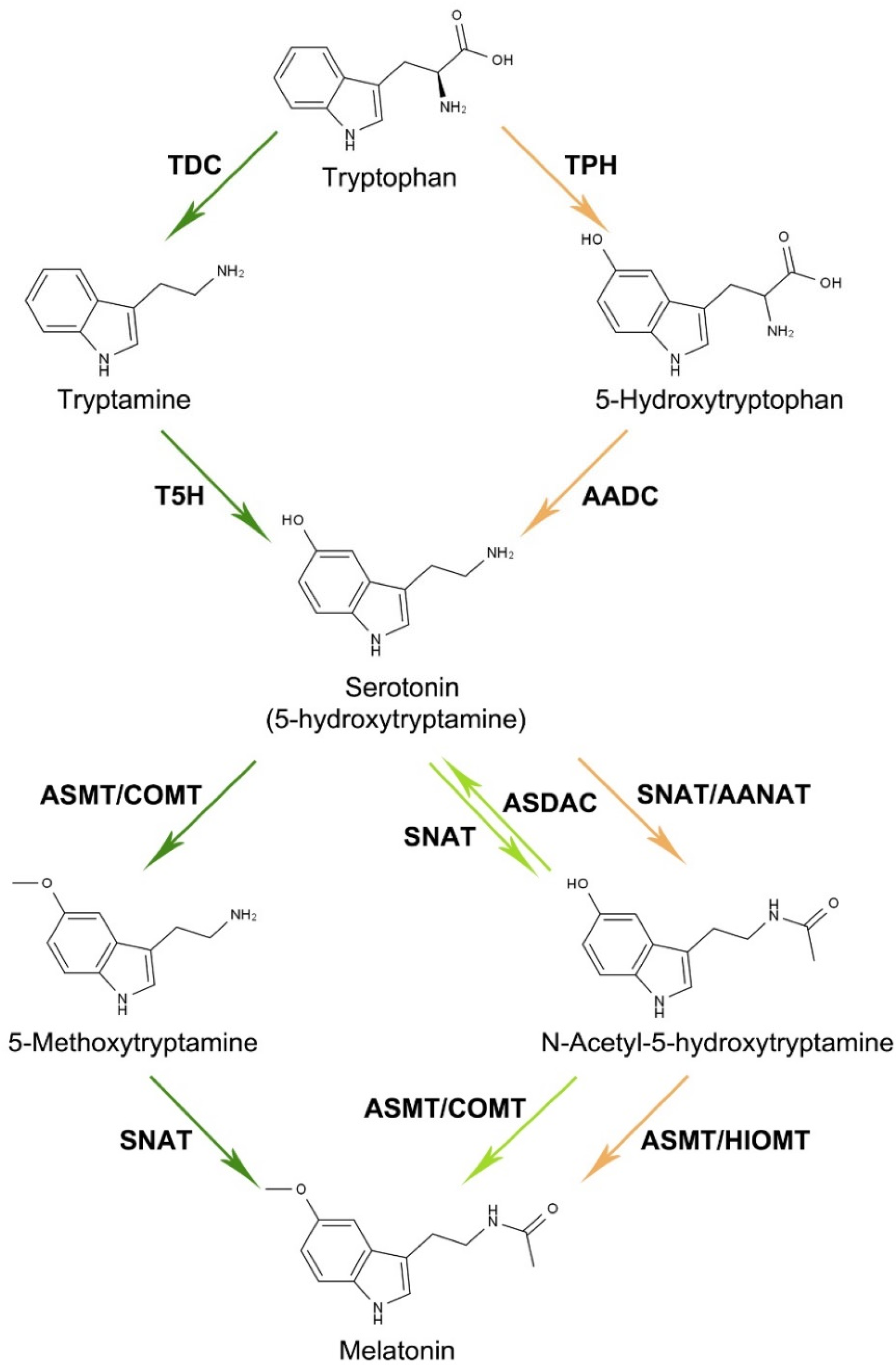 Antioxidants 11 00634 g001