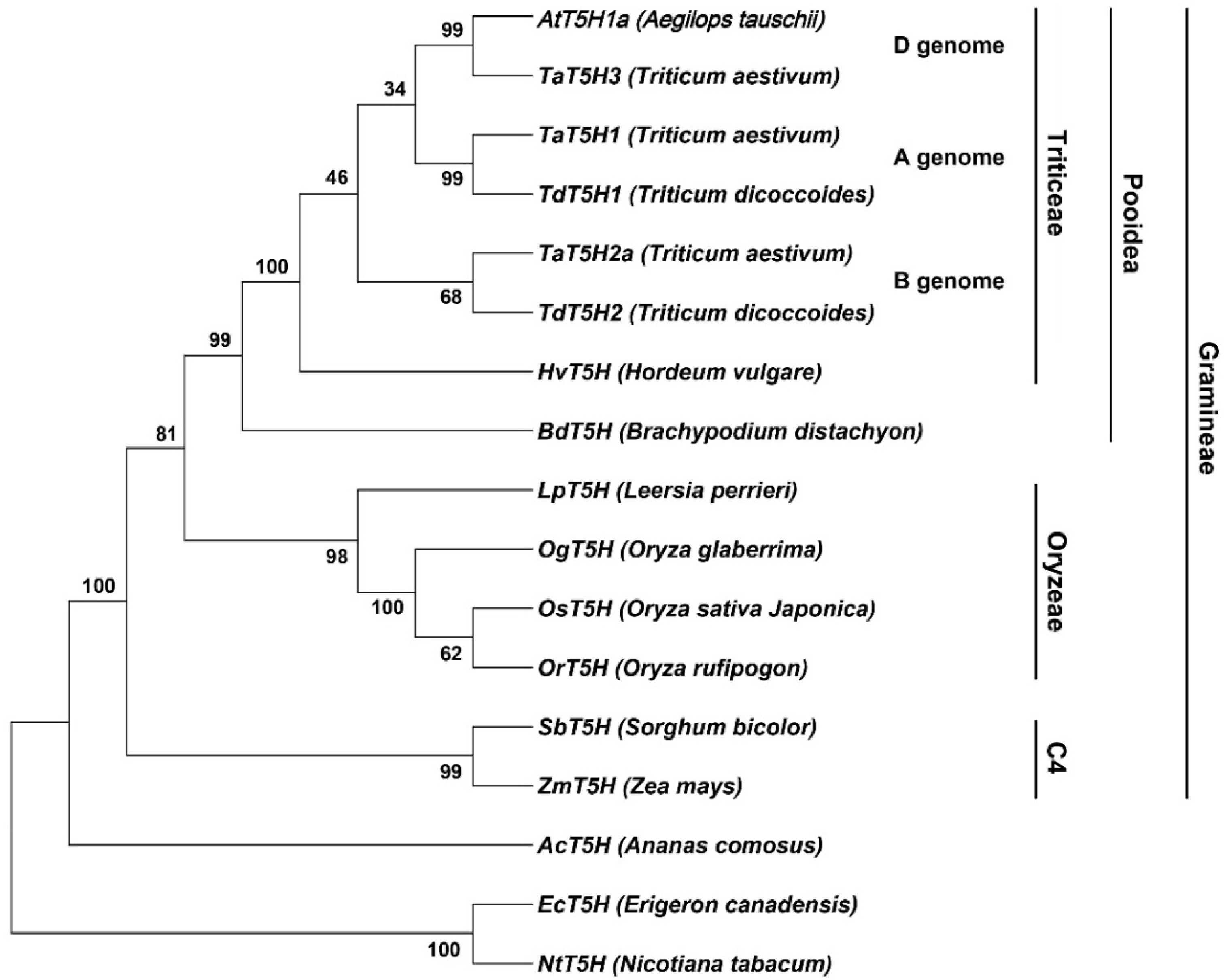 Antioxidants 11 00634 g002