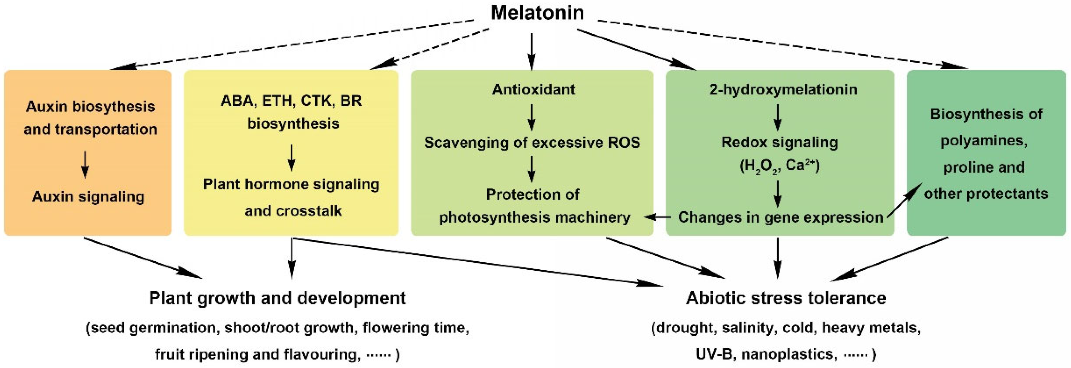 Antioxidants 11 00634 g003