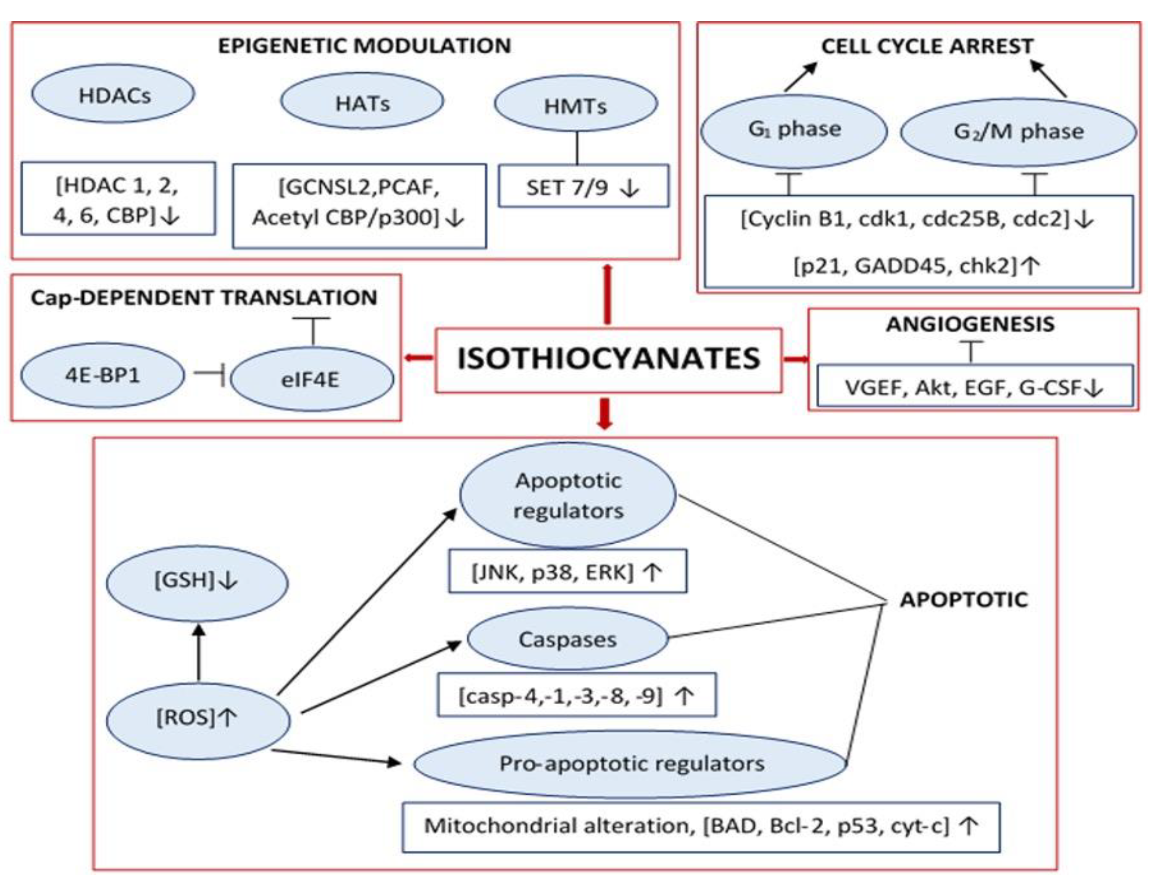 Antioxidants 11 00642 g003
