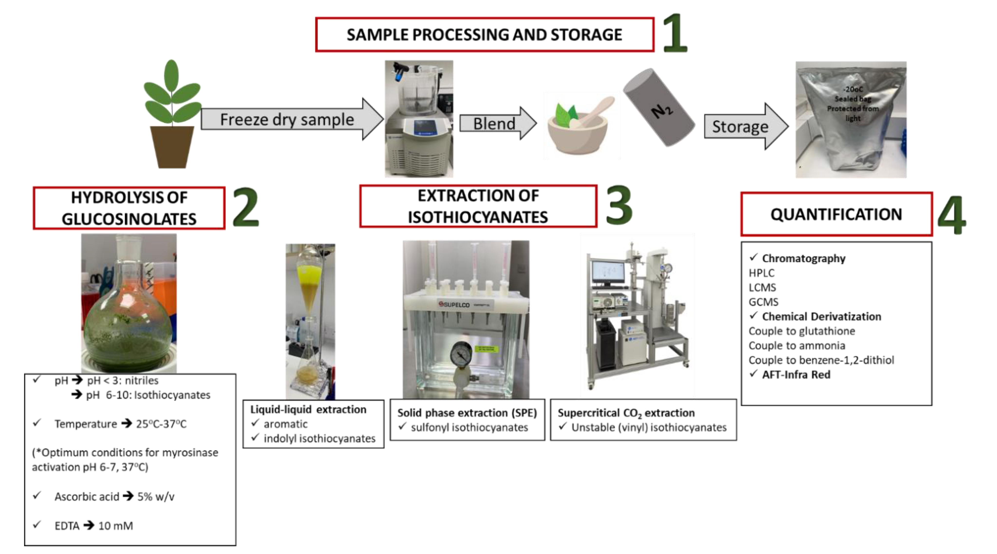 Antioxidants 11 00642 g004