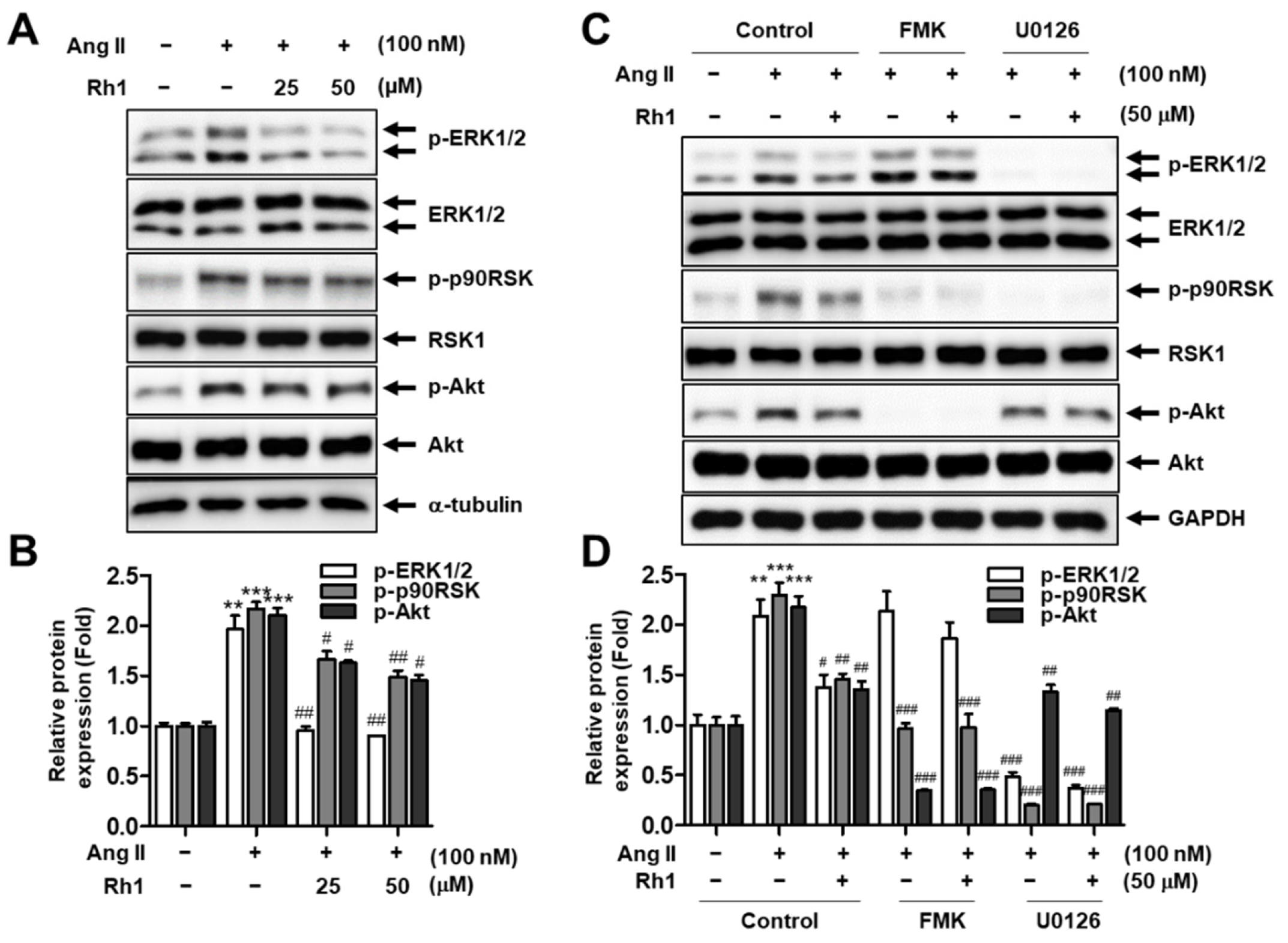 Antioxidants 11 00643 g003