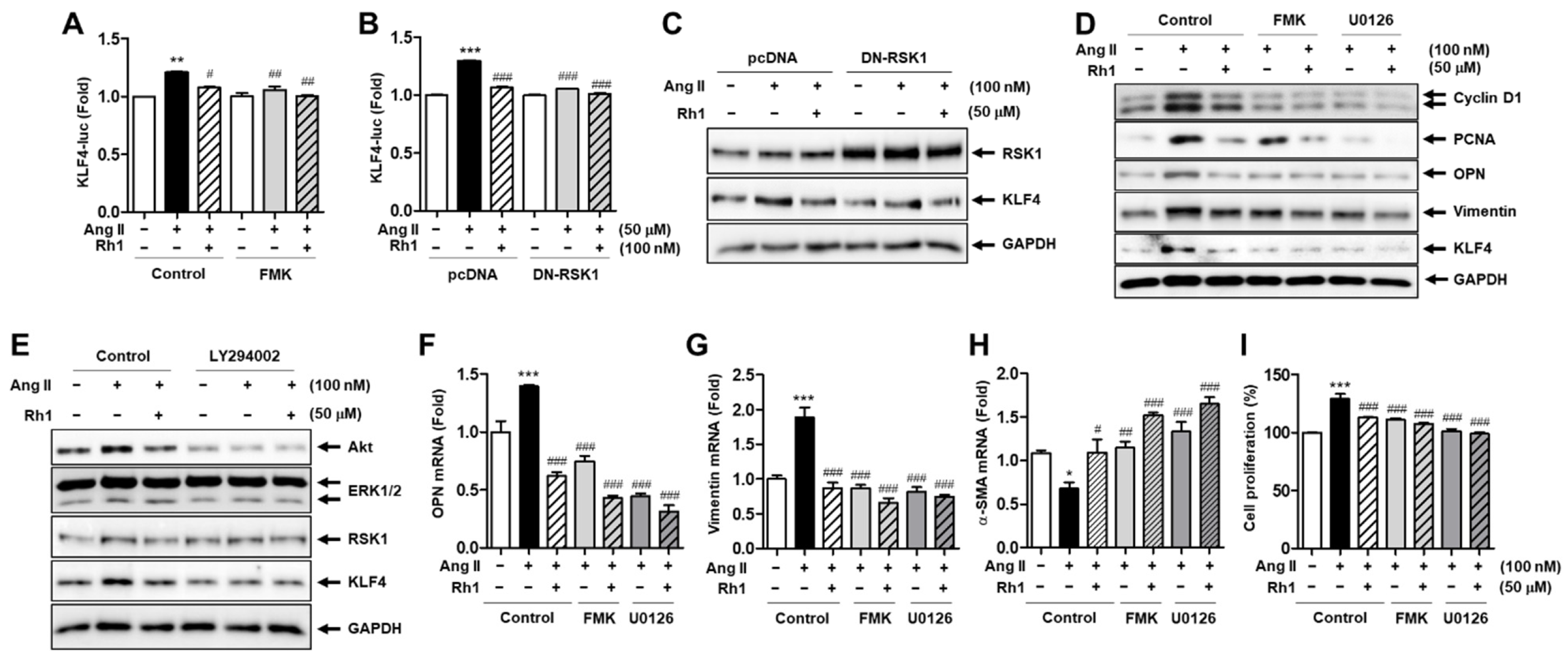 Antioxidants 11 00643 g005