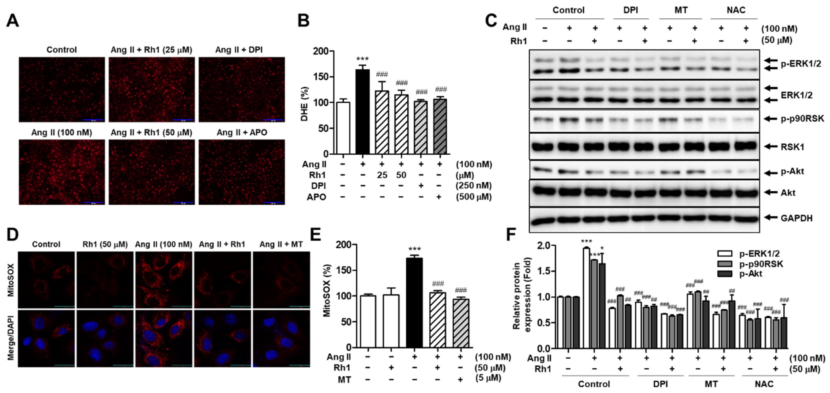 Antioxidants 11 00643 g007
