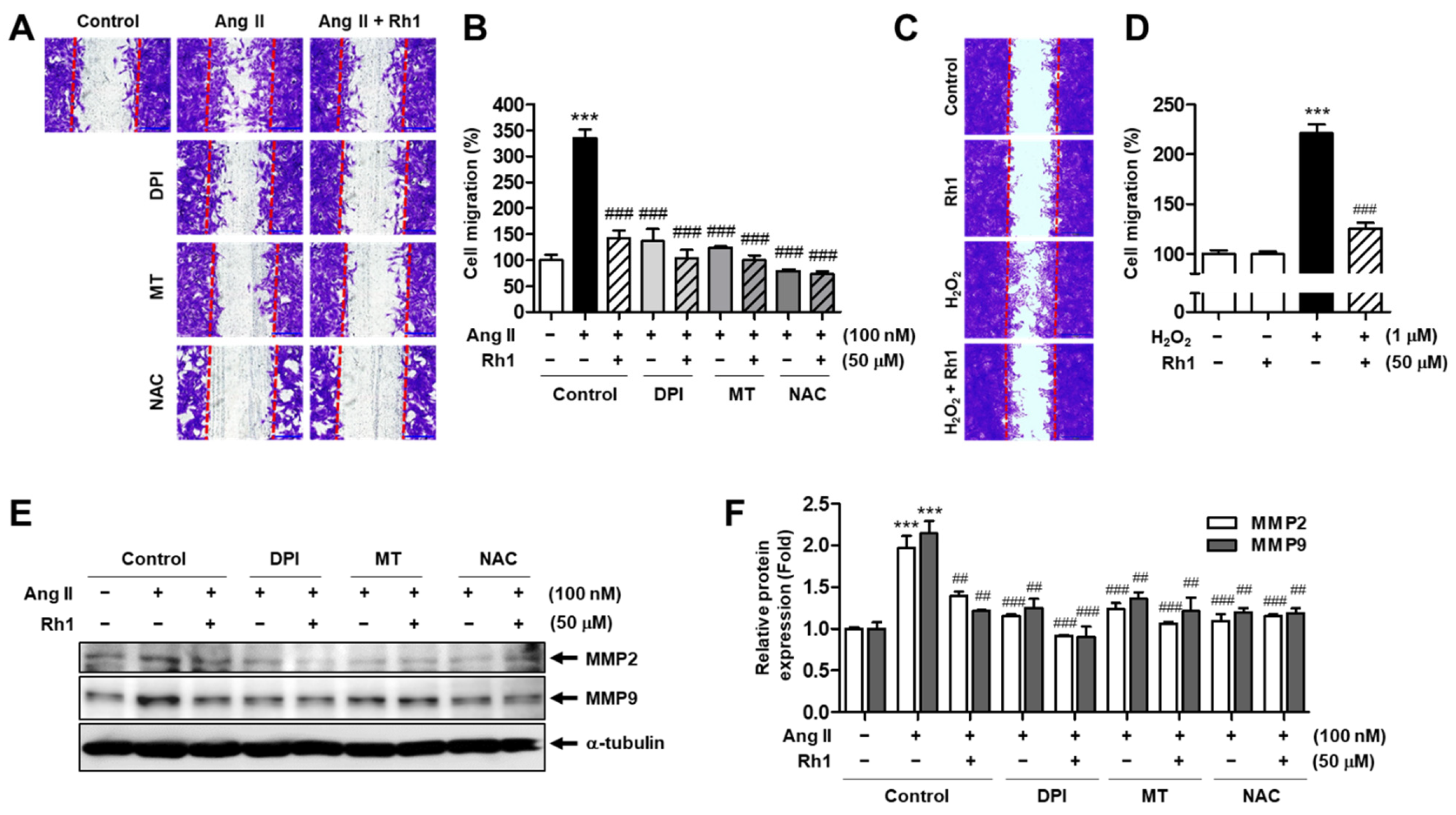 Antioxidants 11 00643 g008