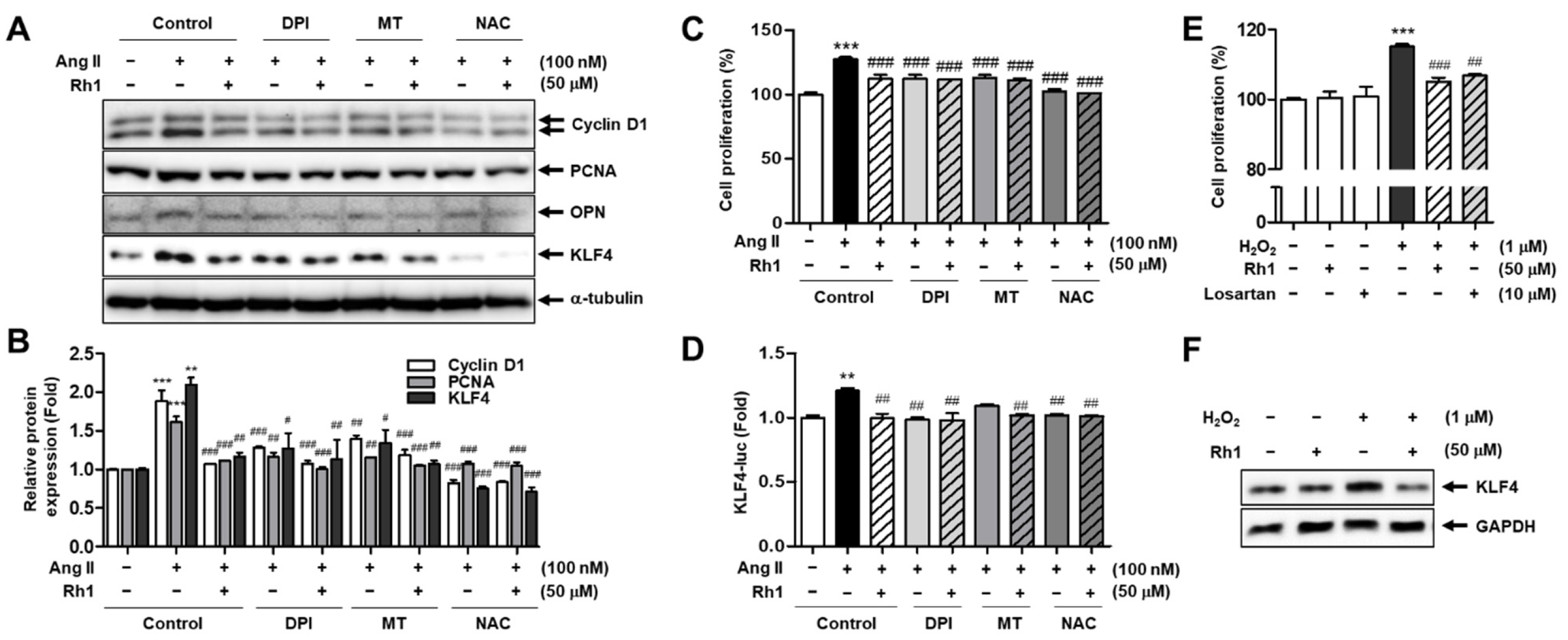 Antioxidants 11 00643 g009