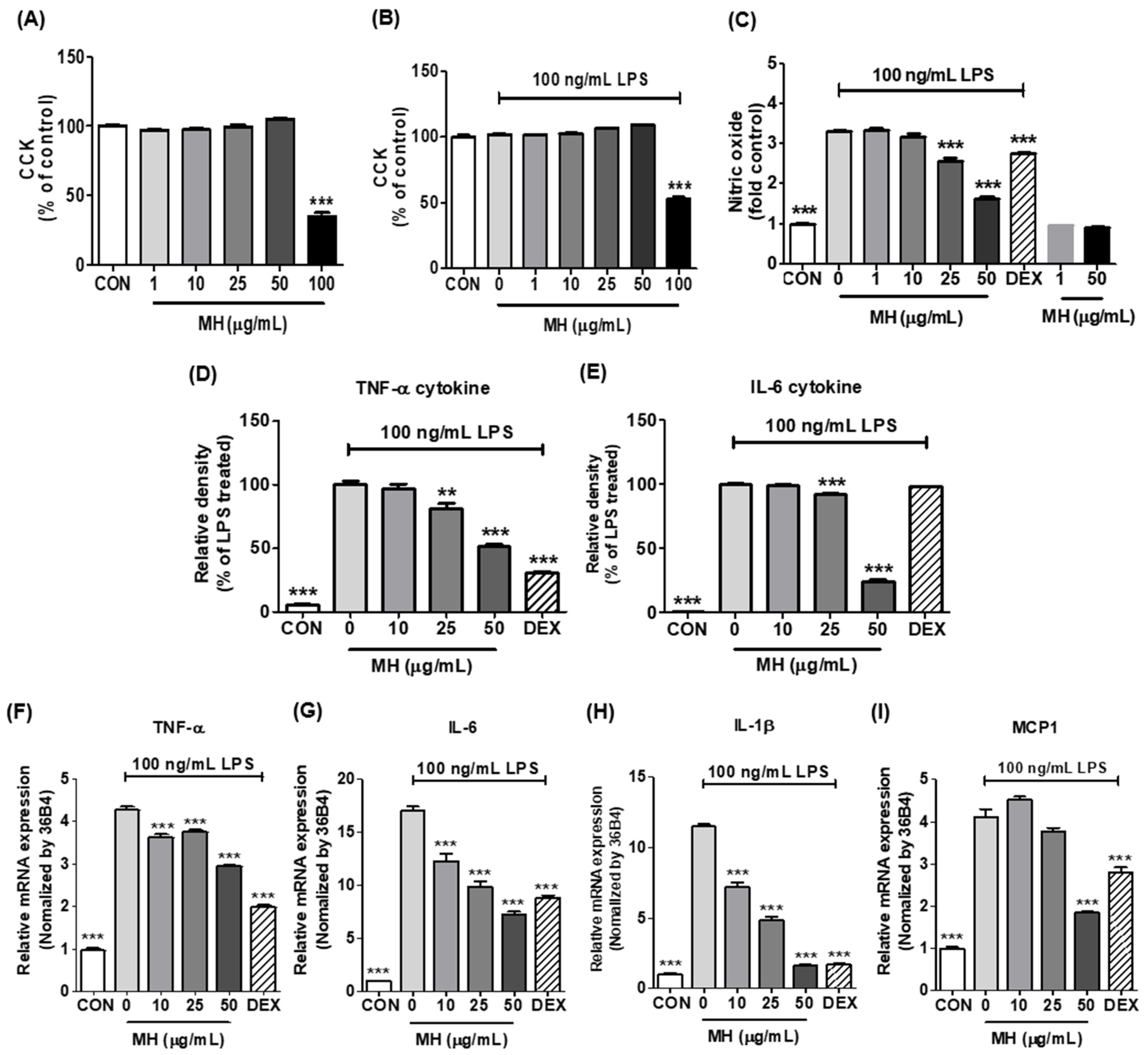 Antioxidants 11 00649 g002