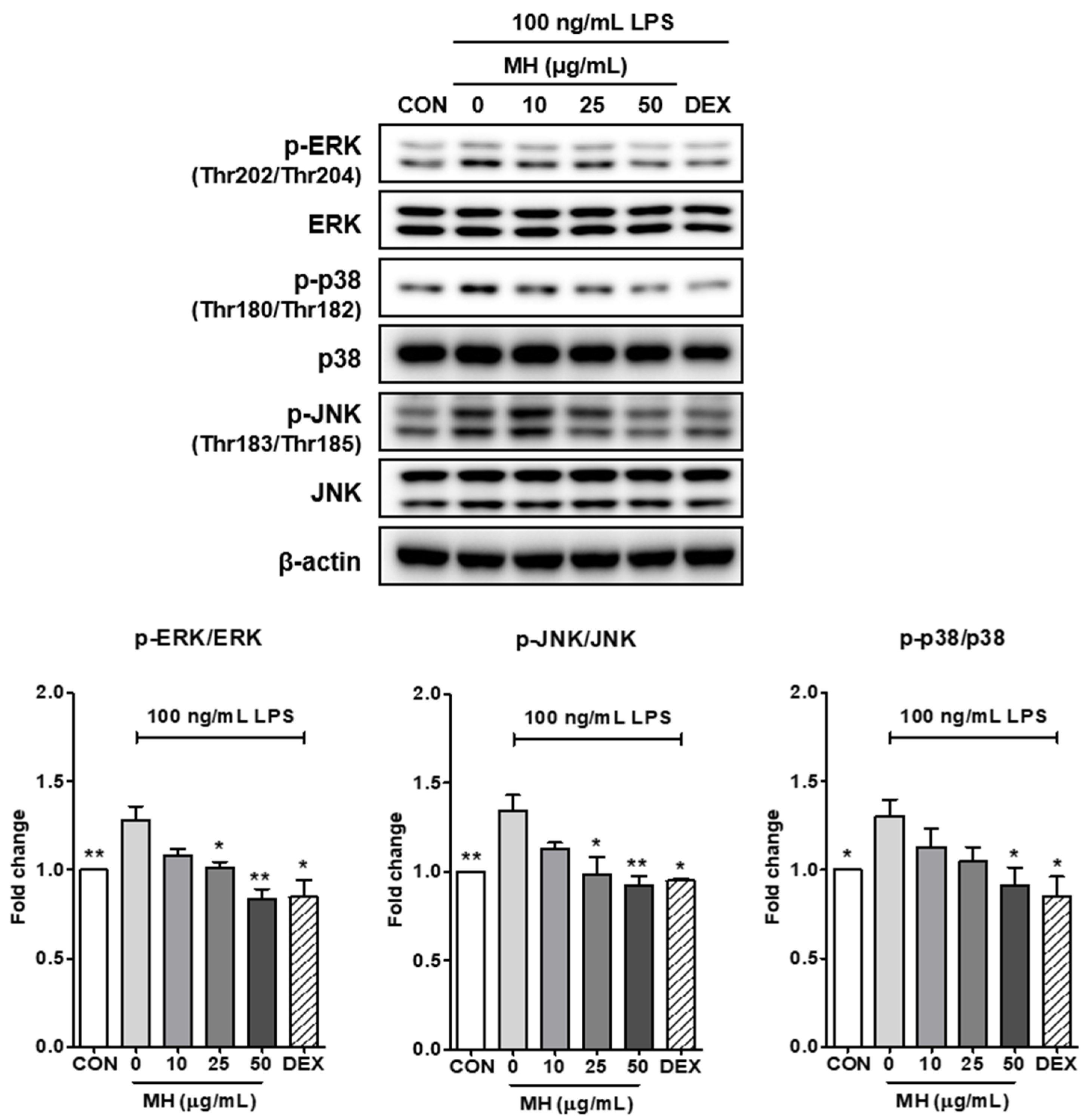 Antioxidants 11 00649 g005