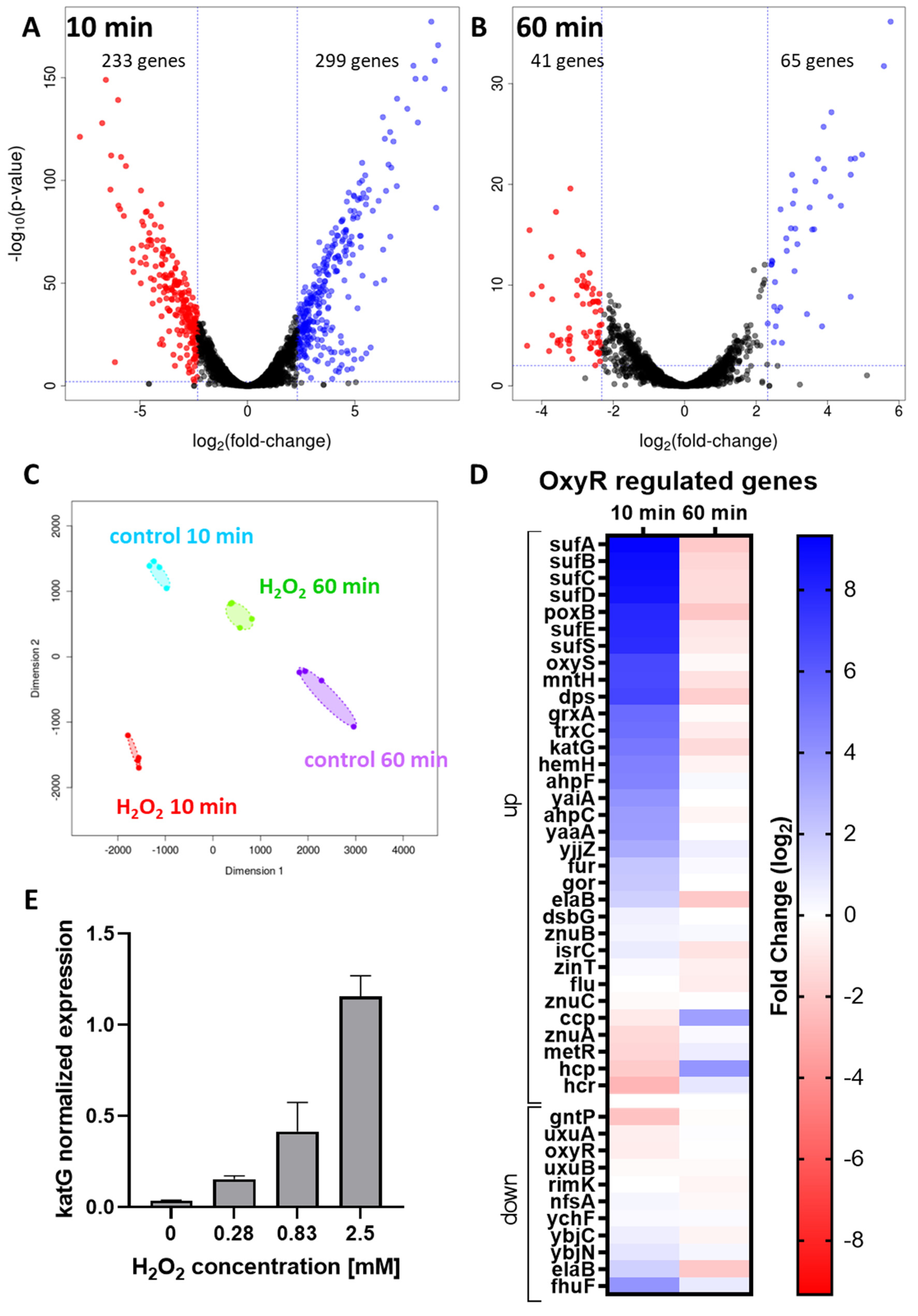Antioxidants 11 00655 g002