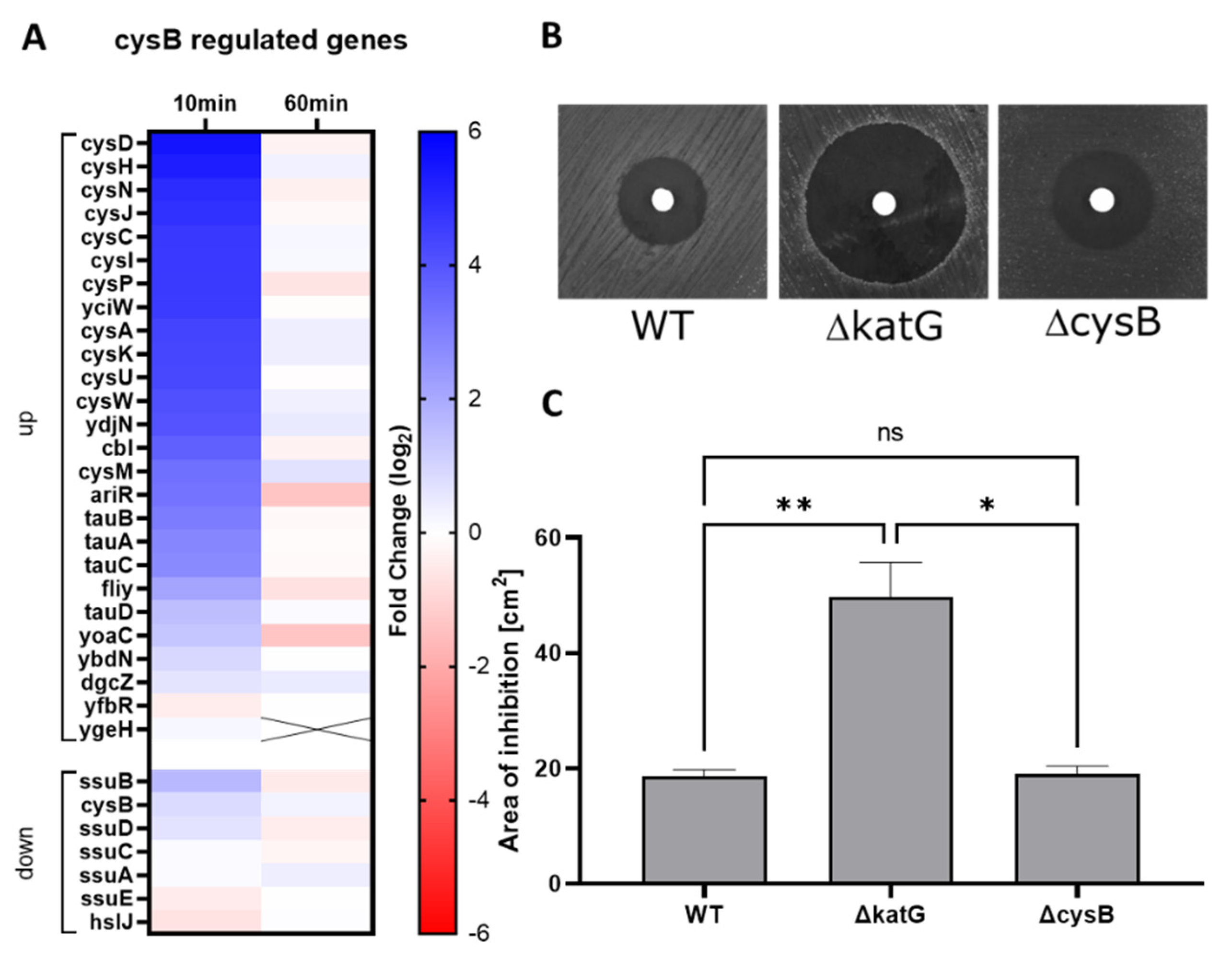 Antioxidants 11 00655 g006