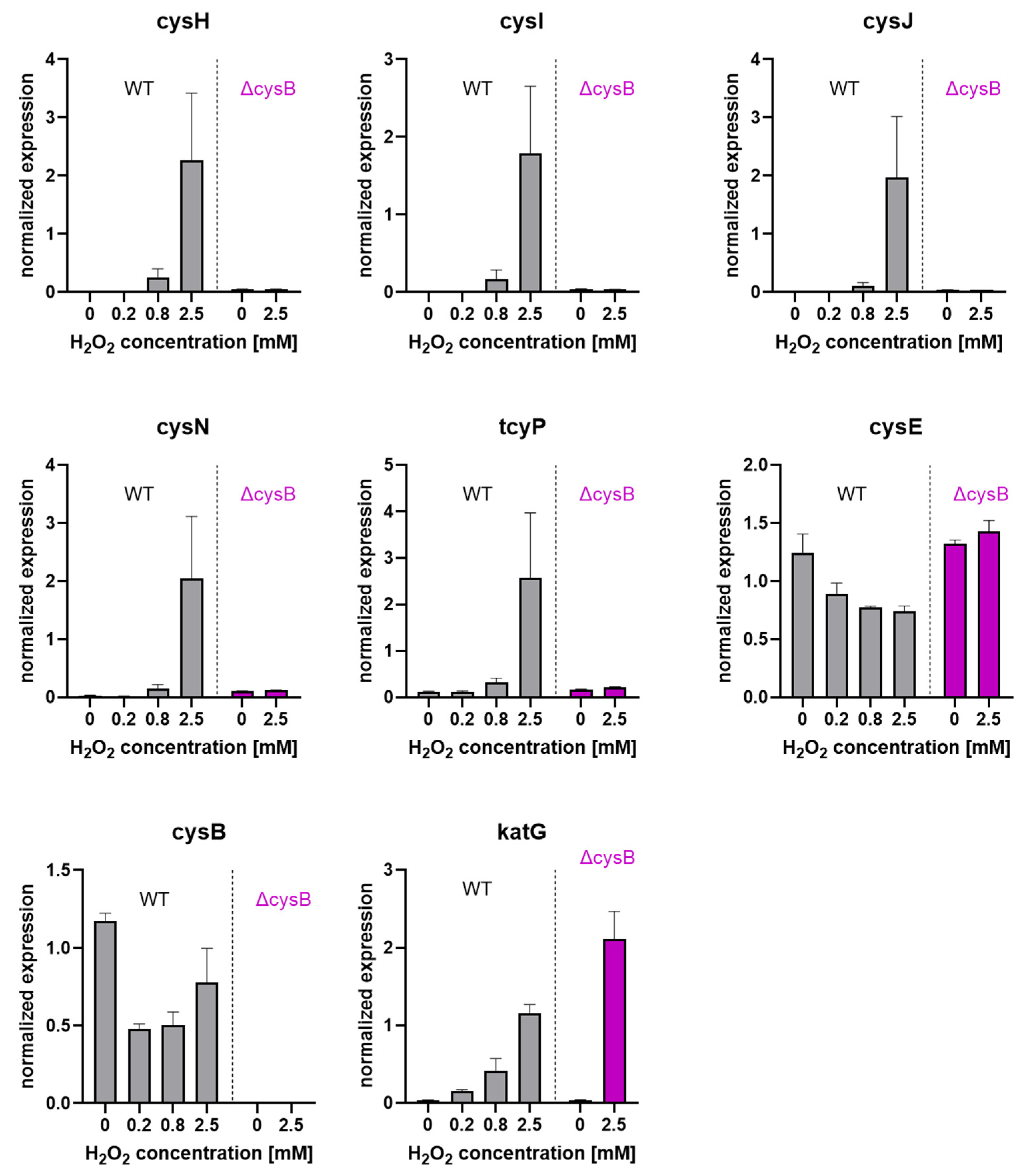Antioxidants 11 00655 g007