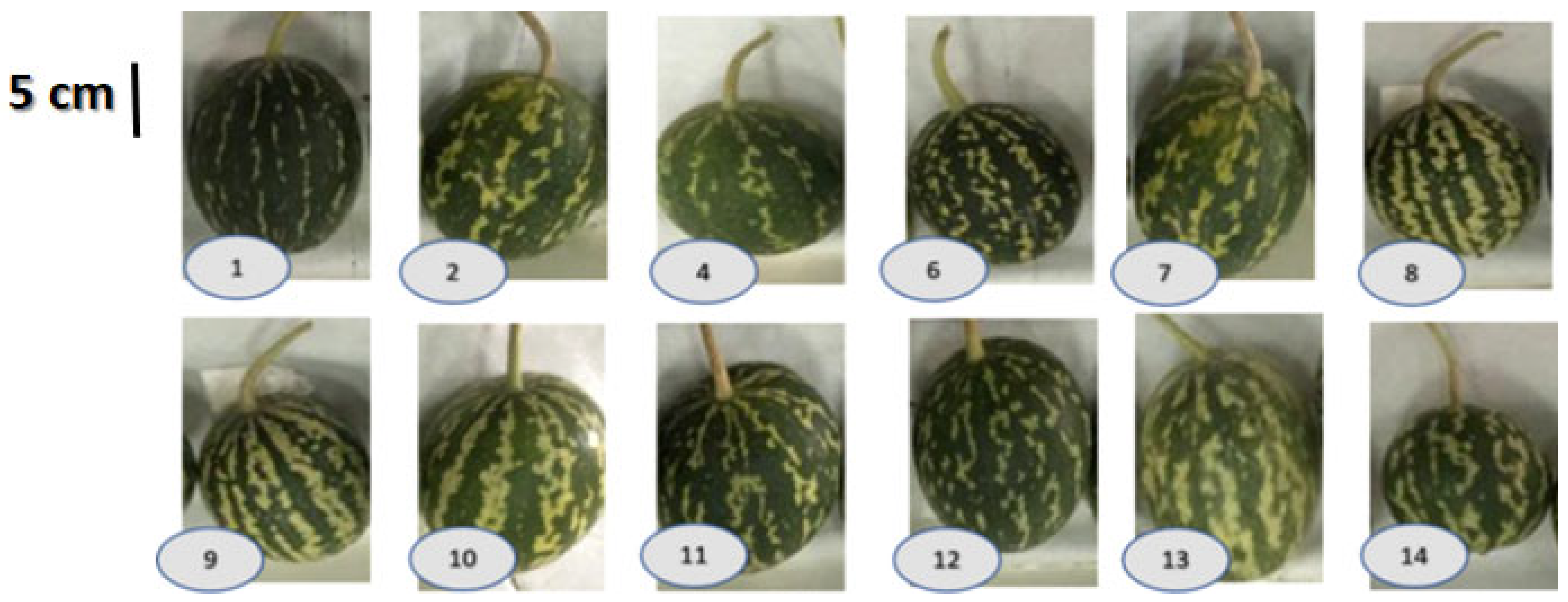 Antioxidants 11 00656 g001