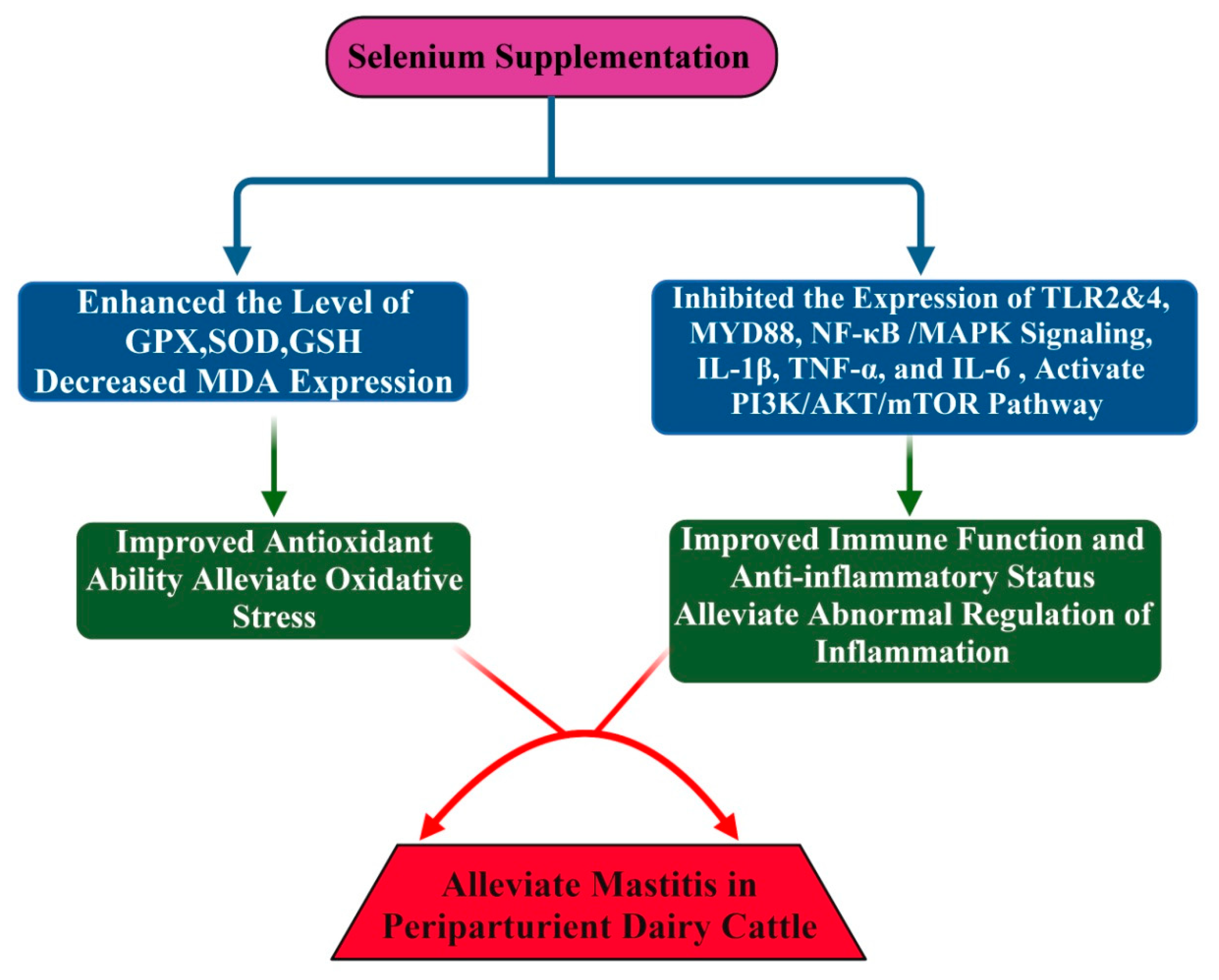 Antioxidants 11 00657 g002