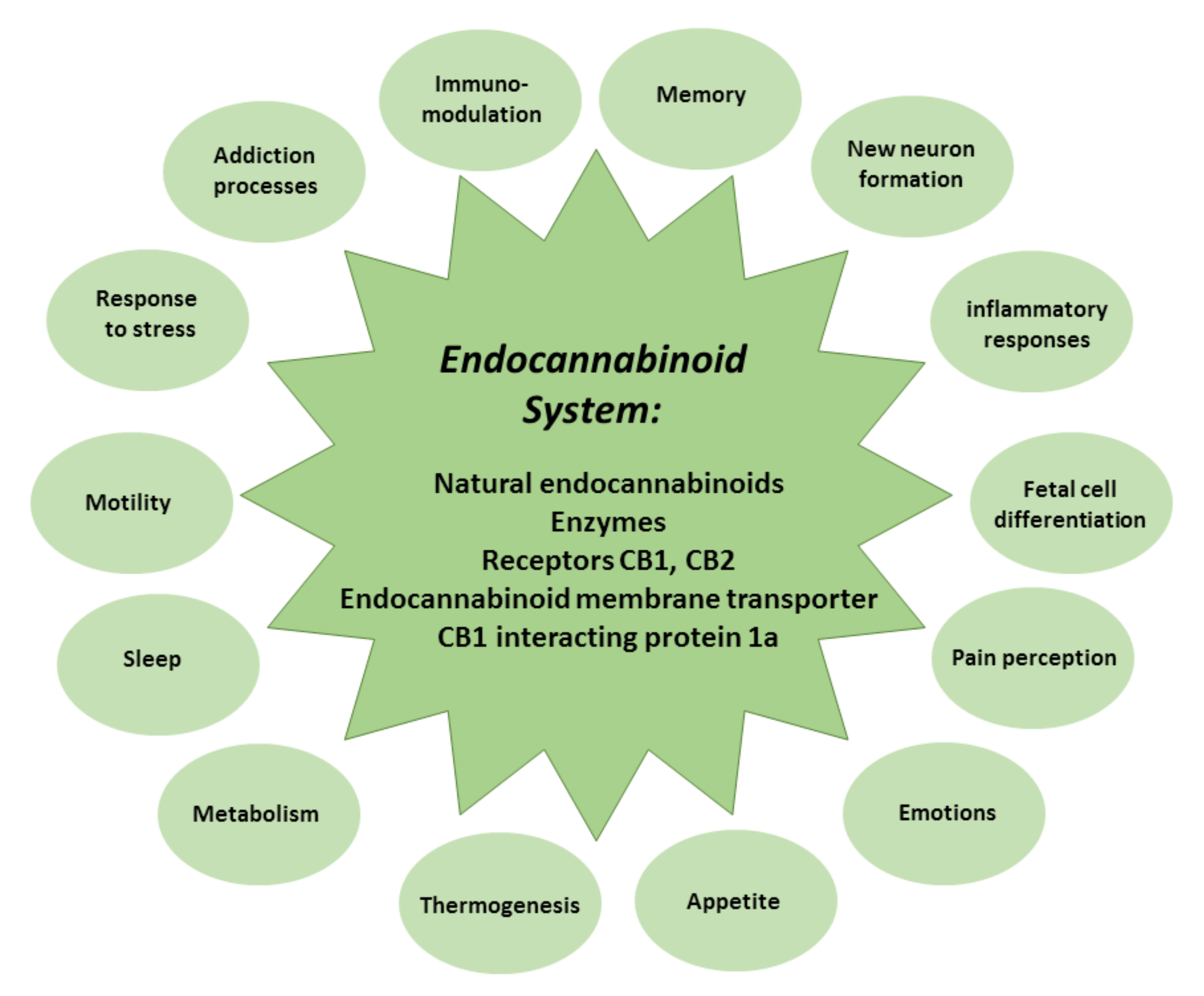 Antioxidants 11 00660 g002