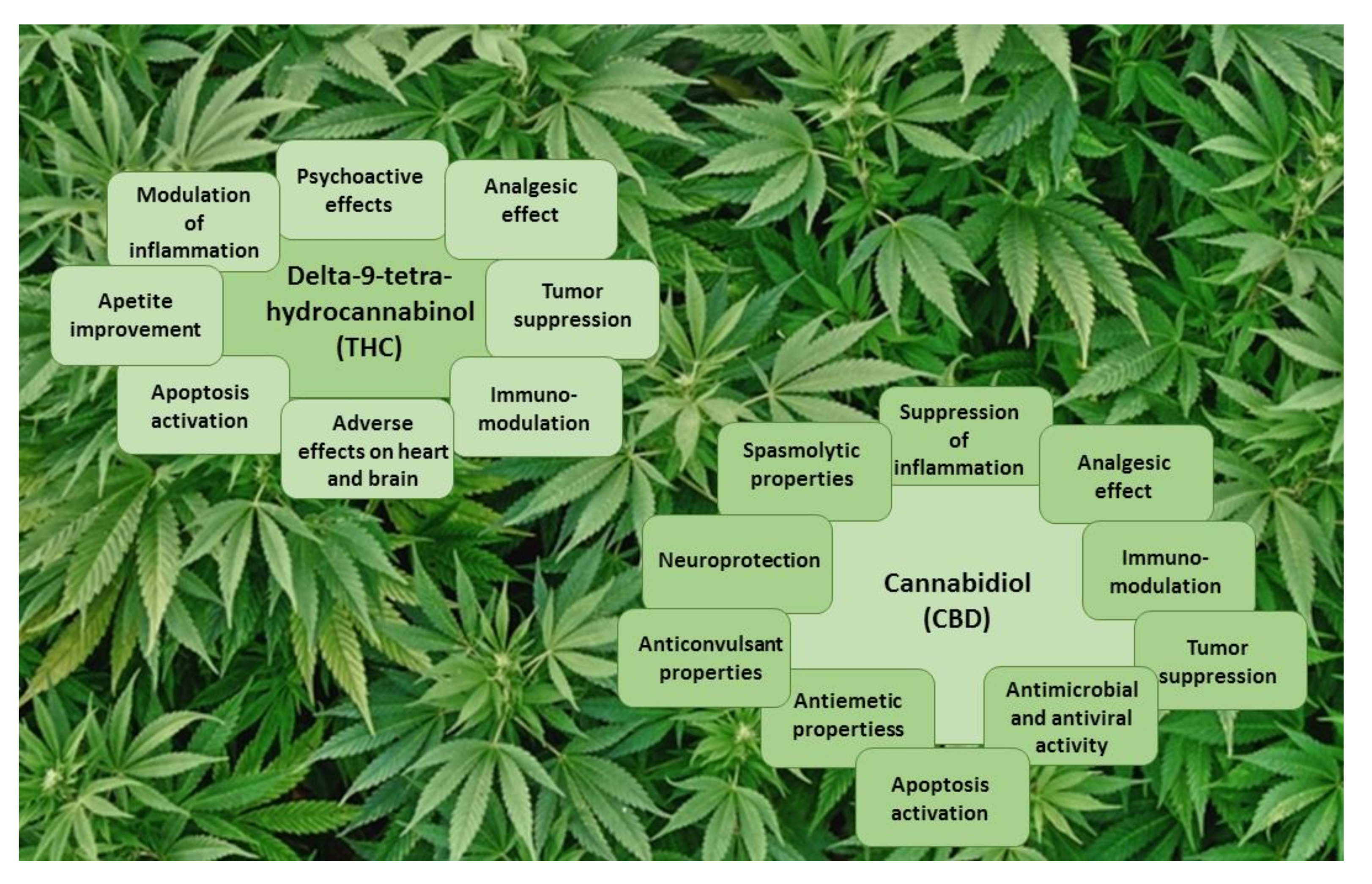 Antioxidants 11 00660 g003