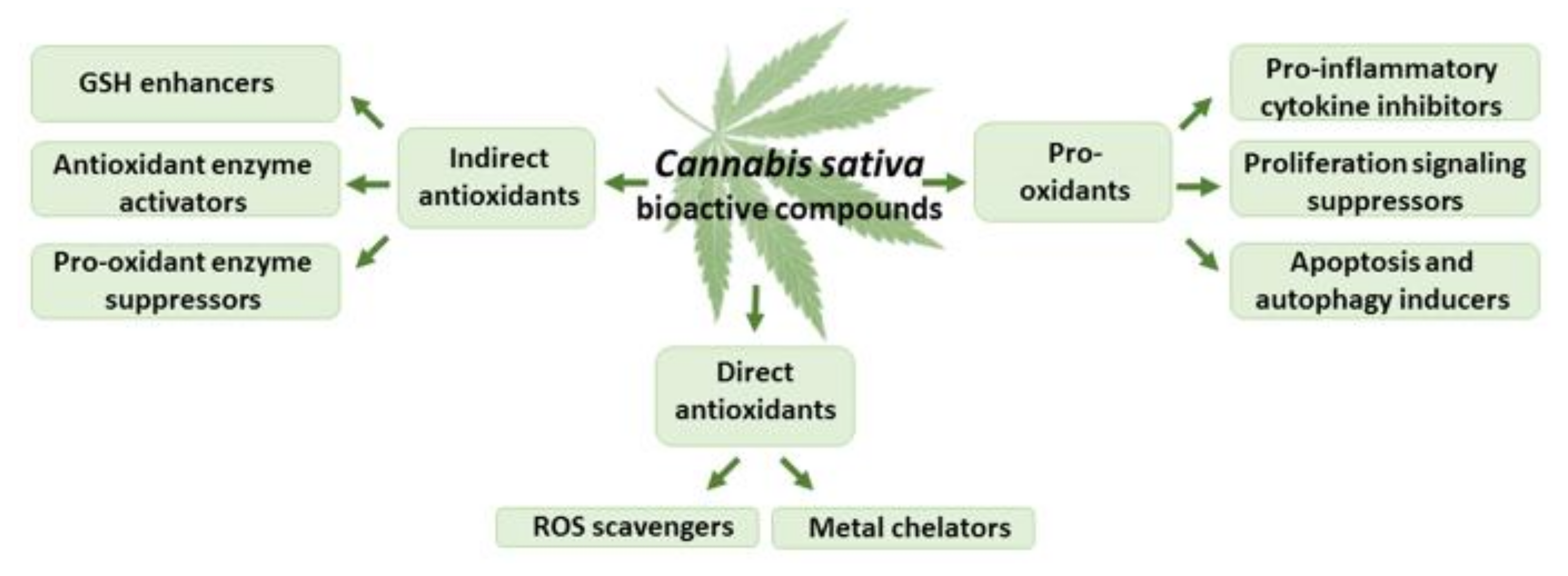 Antioxidants 11 00660 g004
