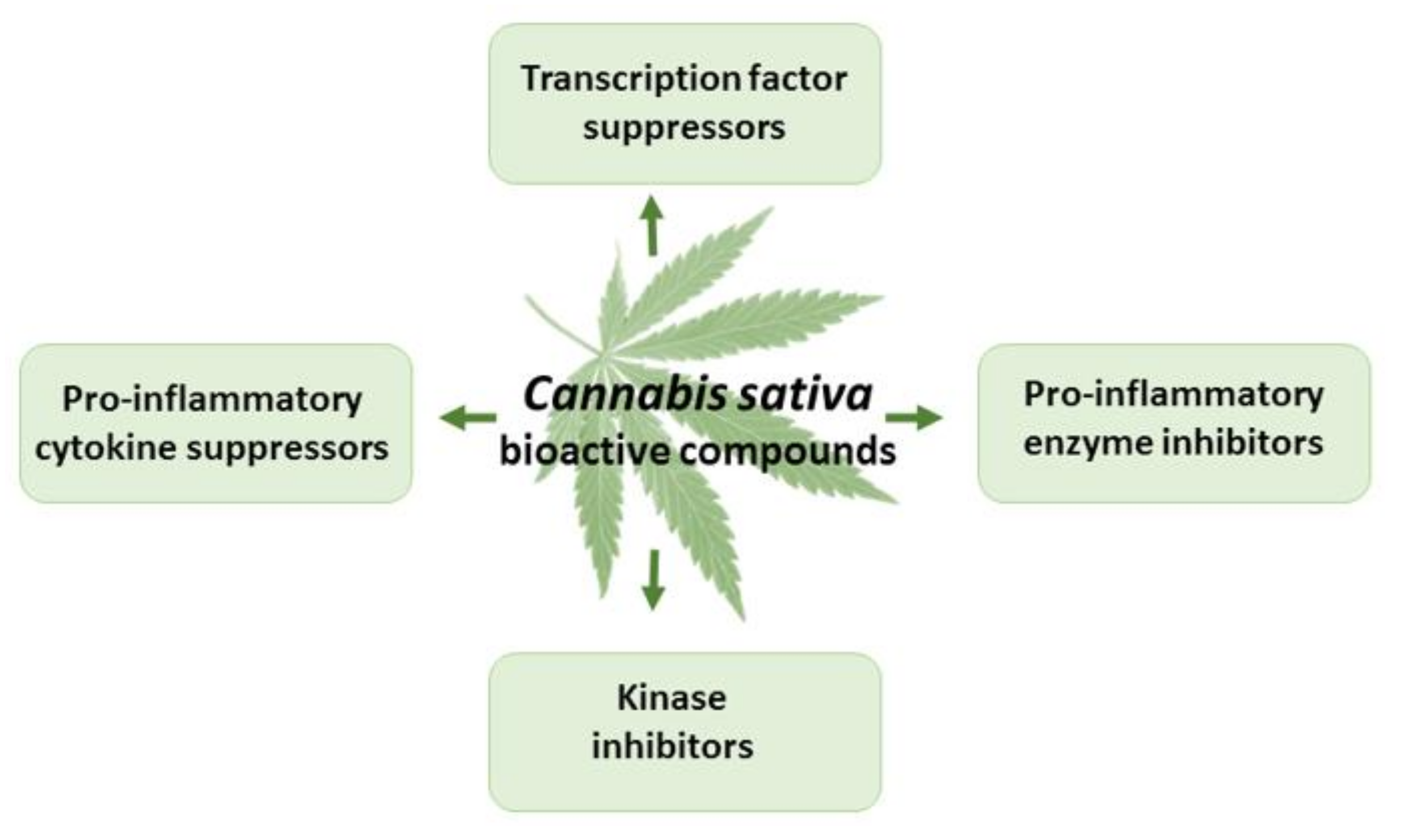 Antioxidants 11 00660 g005