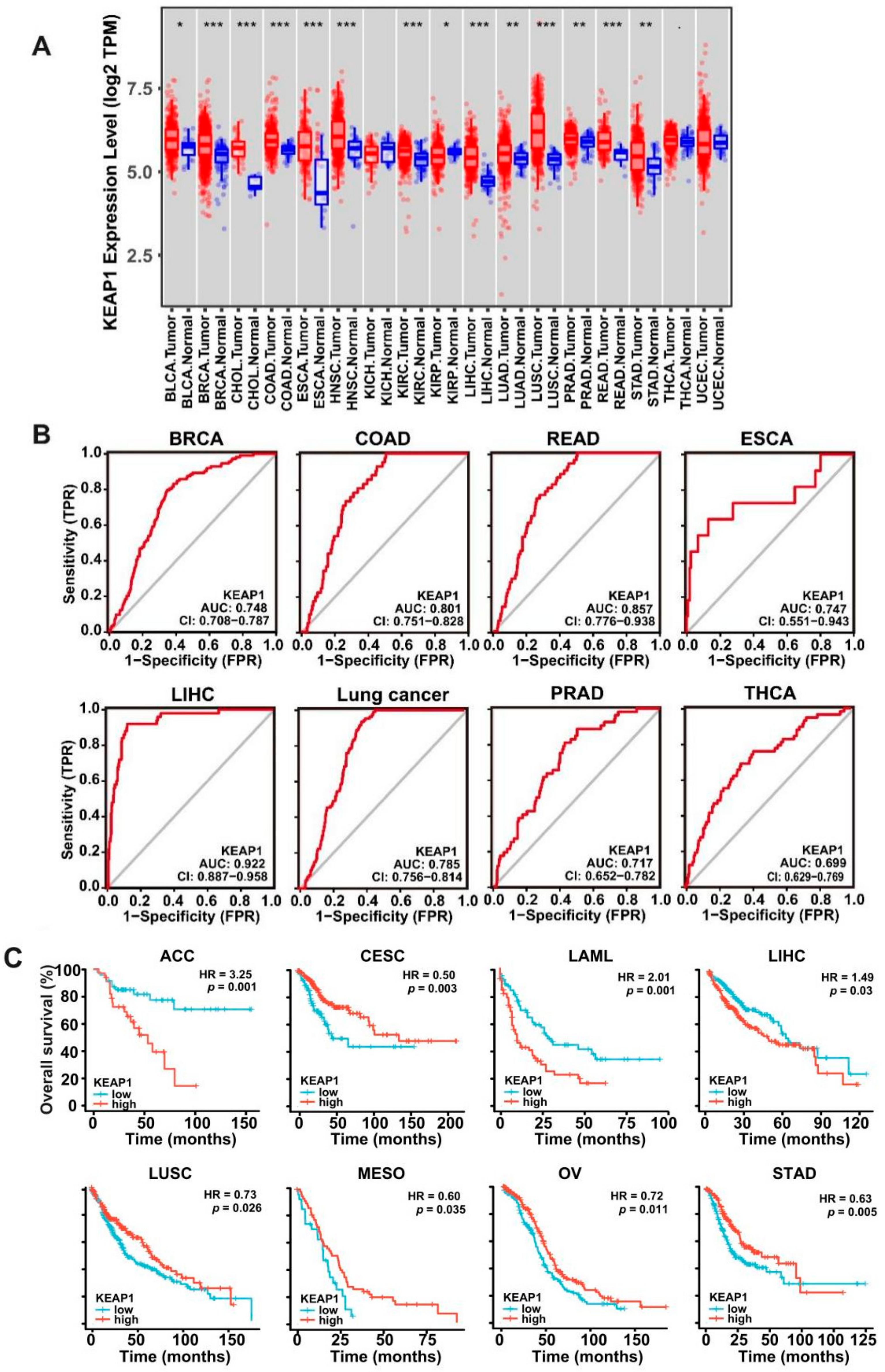 Antioxidants 11 00661 g001