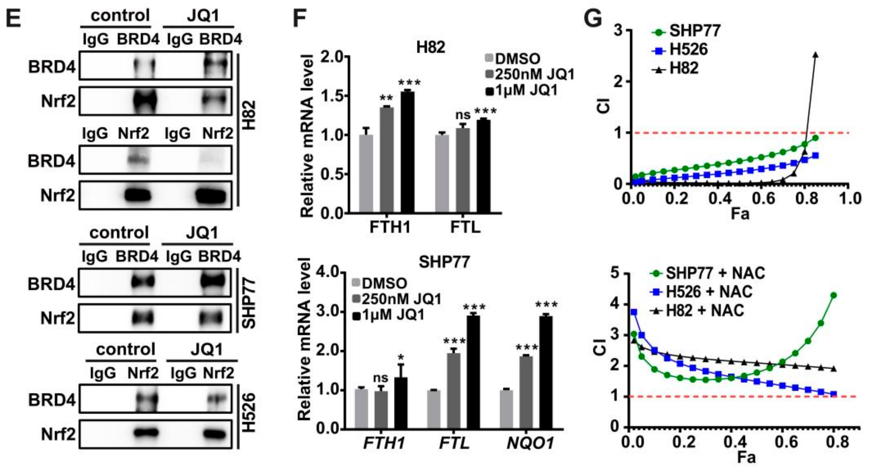 Antioxidants 11 00661 g004b