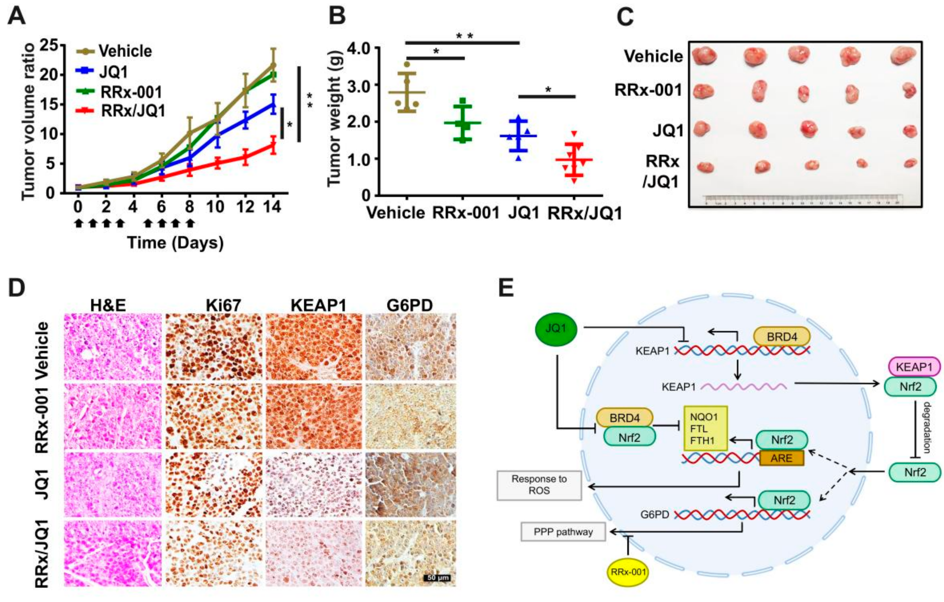 Antioxidants 11 00661 g006